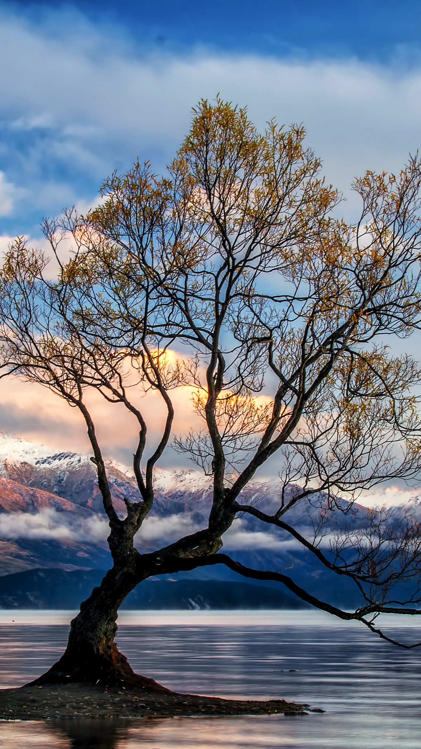 無料モバイル壁紙風景, 木, 秋, 湖, 山, ニュージーランド, 地球, 空, クラウド, ワナカ湖をダウンロードします。