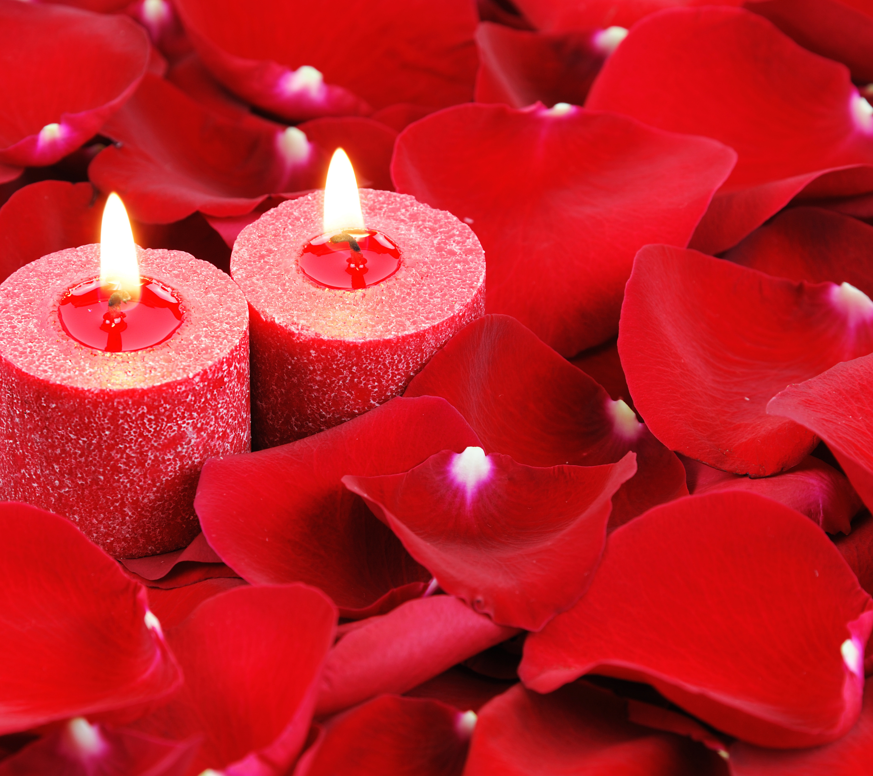 Free download wallpaper Candle, Petal, Photography on your PC desktop