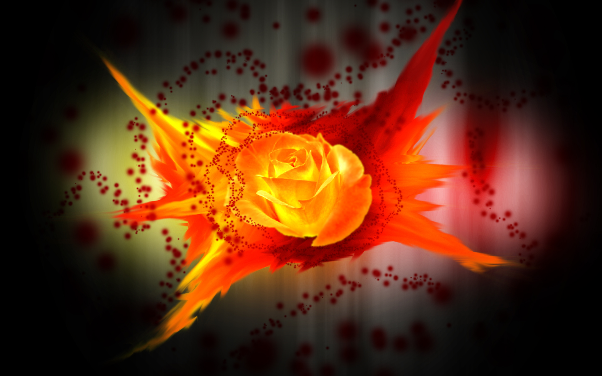 Free download wallpaper Nature, Rose, Artistic on your PC desktop