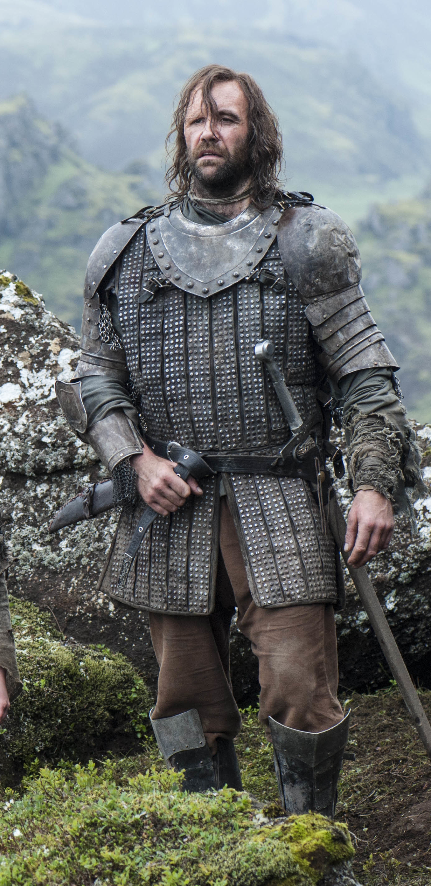 Download mobile wallpaper Game Of Thrones, Tv Show, Rory Mccann, Sandor Clegane for free.