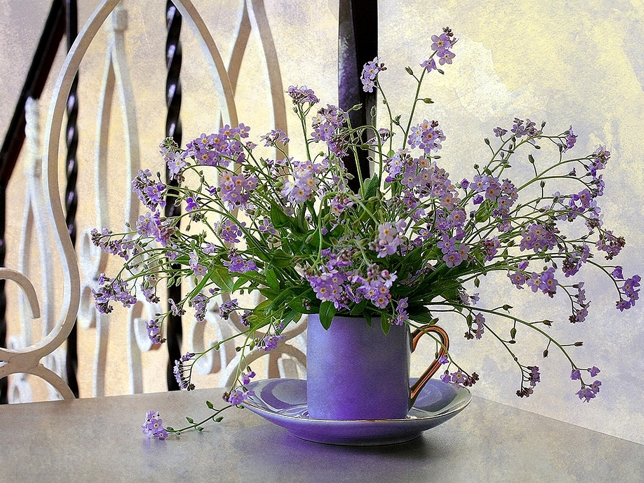 Handy-Wallpaper Blumen, Pflanzen, Bouquets kostenlos herunterladen.