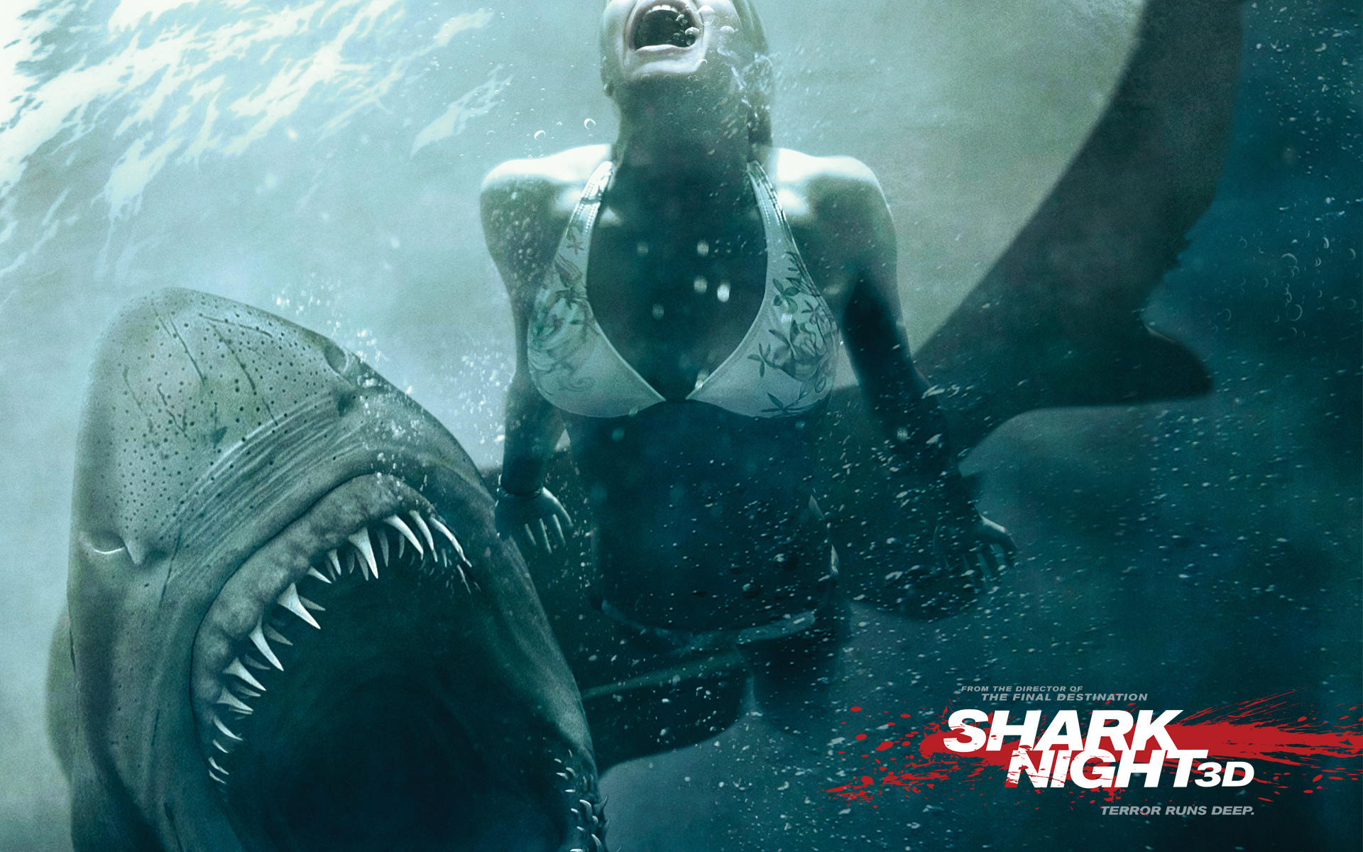 207061 Bild herunterladen filme, shark night 3d - Hintergrundbilder und Bildschirmschoner kostenlos