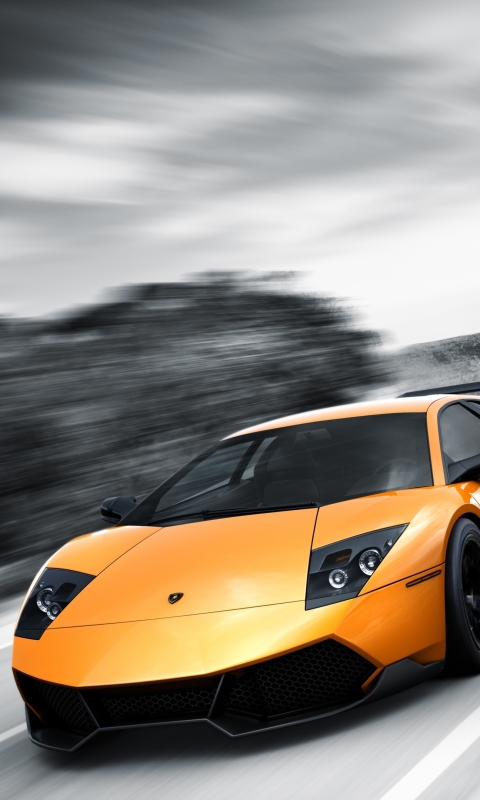 Скачати мобільні шпалери Ламборджіні, Транспортні Засоби, Lamborghini Murciélago безкоштовно.