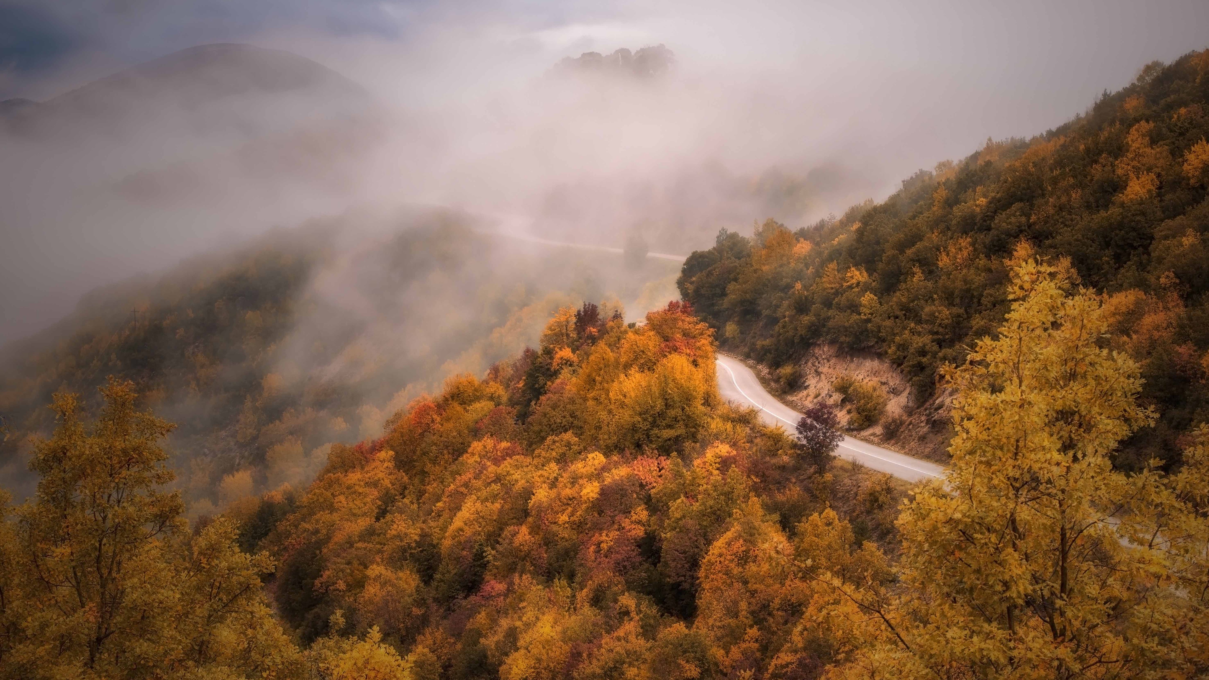 Laden Sie das Herbst, Straße, Wald, Nebel, Gebirge, Fotografie-Bild kostenlos auf Ihren PC-Desktop herunter