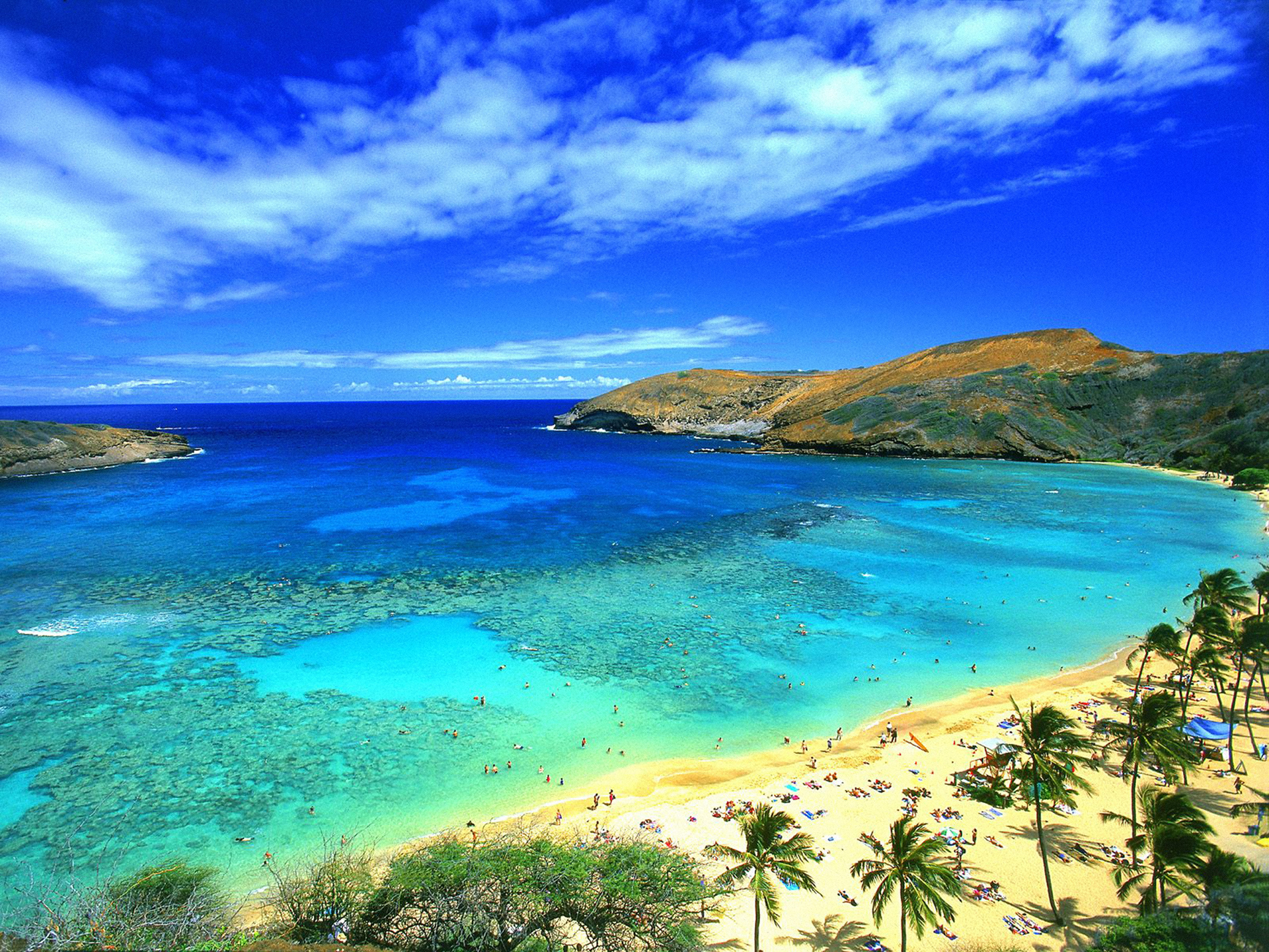 Laden Sie das Strand, Horizont, Ozean, Palme, Hawaii, Fotografie, Meer-Bild kostenlos auf Ihren PC-Desktop herunter