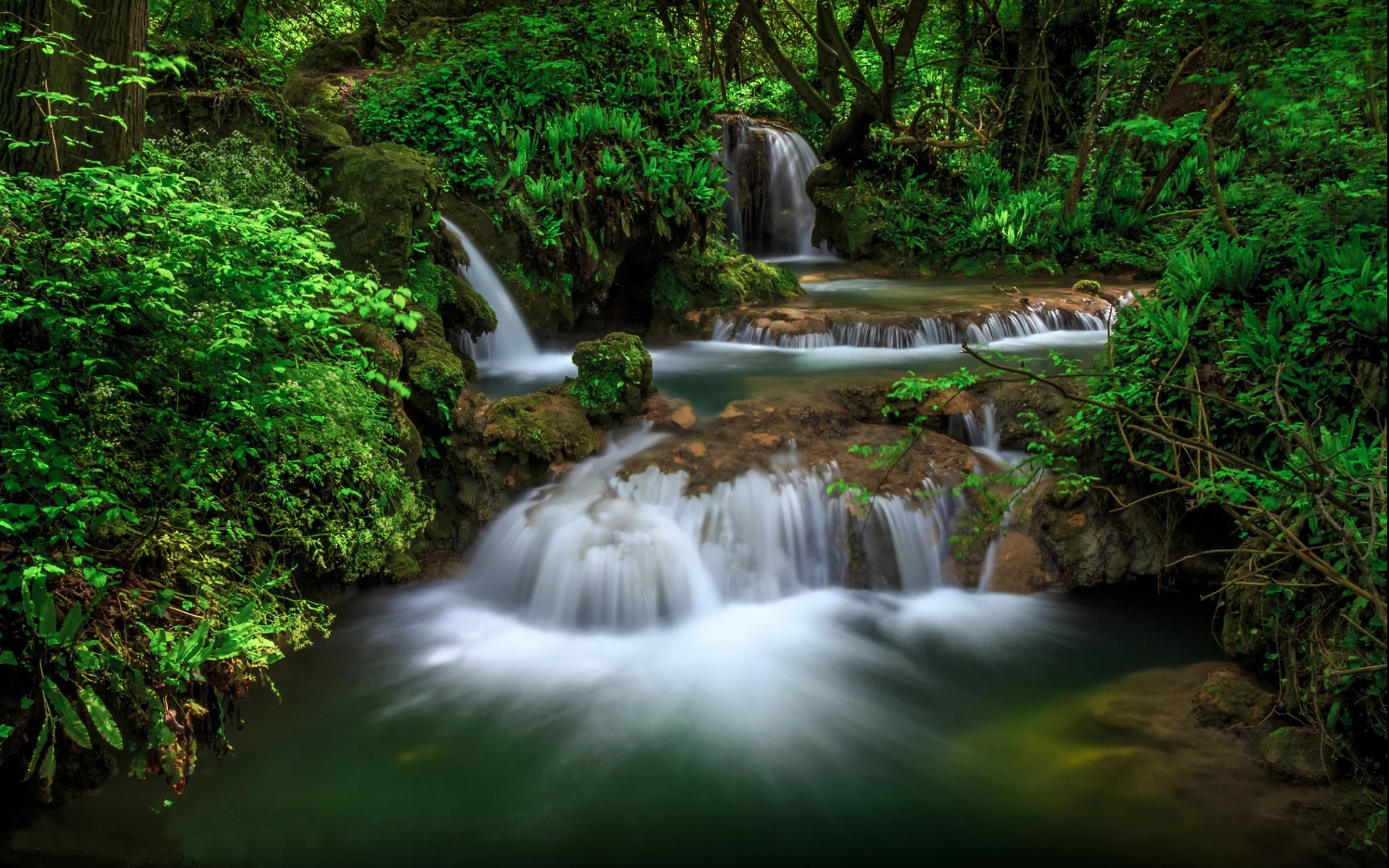 Скачать картинку Водопад, Лес, Земля, Зеленый, Земля/природа в телефон бесплатно.