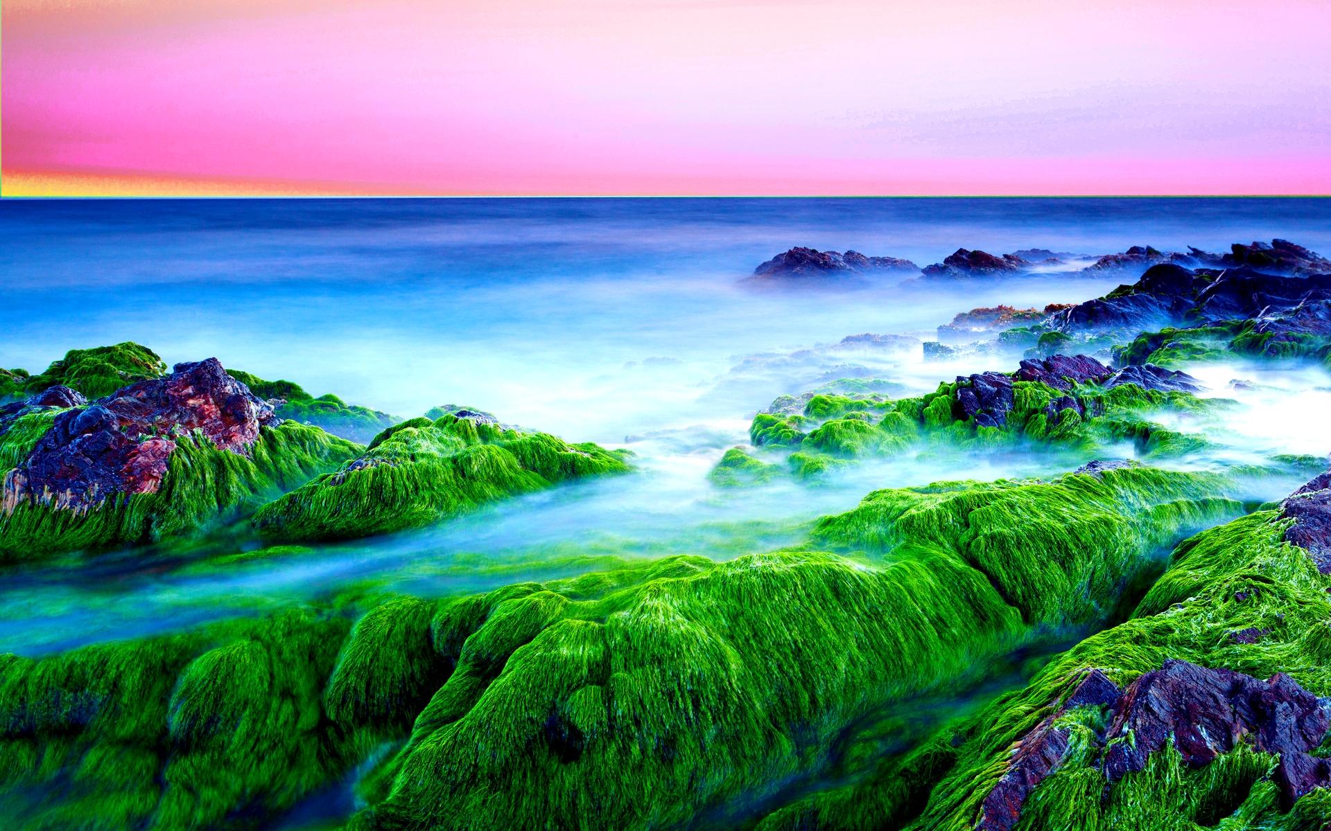 Download mobile wallpaper Nature, Sunset, Horizon, Ocean, Earth, Moss for free.