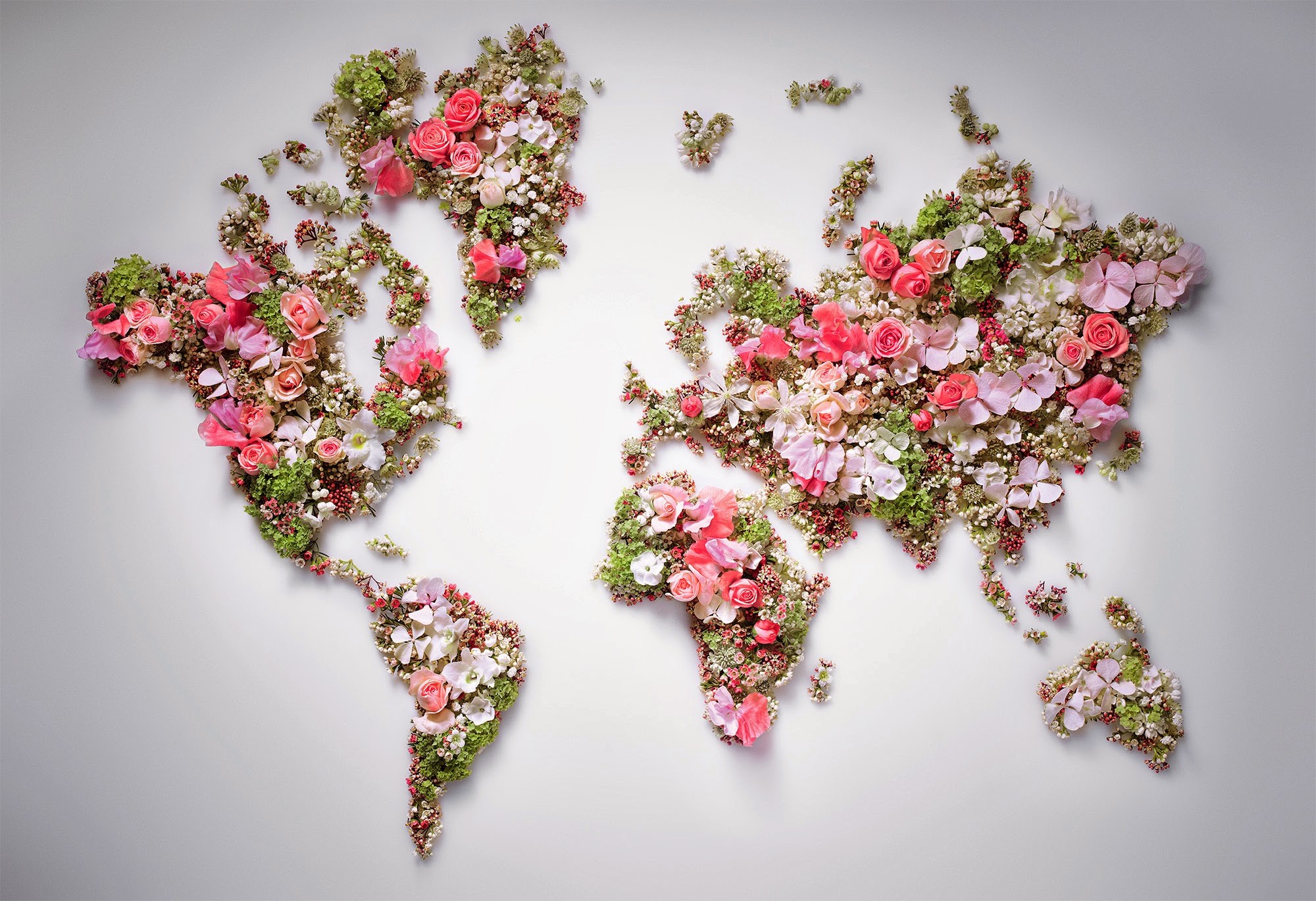 無料モバイル壁紙花, その他, 地図, 世界地図, ピンクの花をダウンロードします。