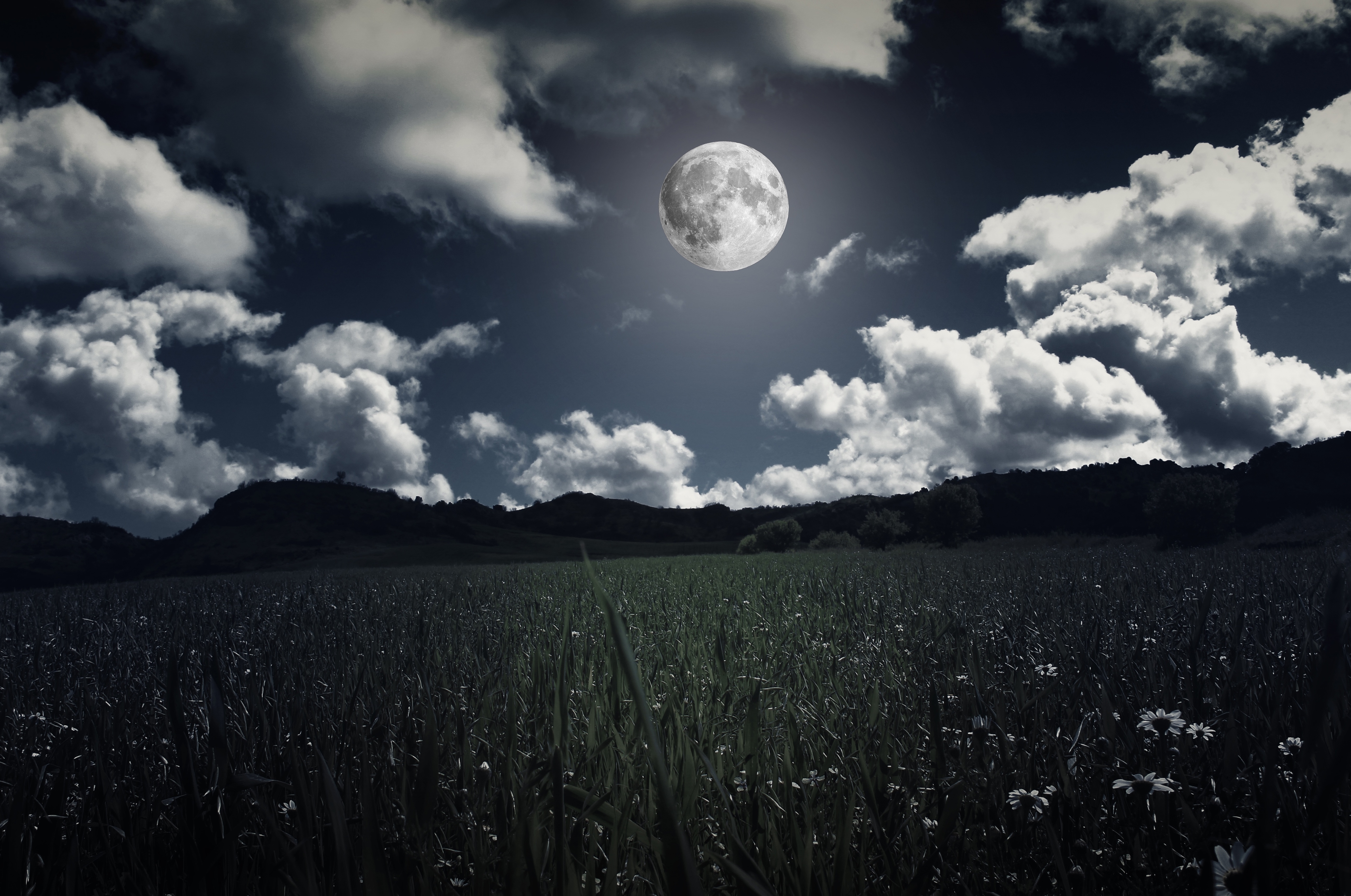 moon, full moon, grass, nature, clouds, field, photoshop HD wallpaper