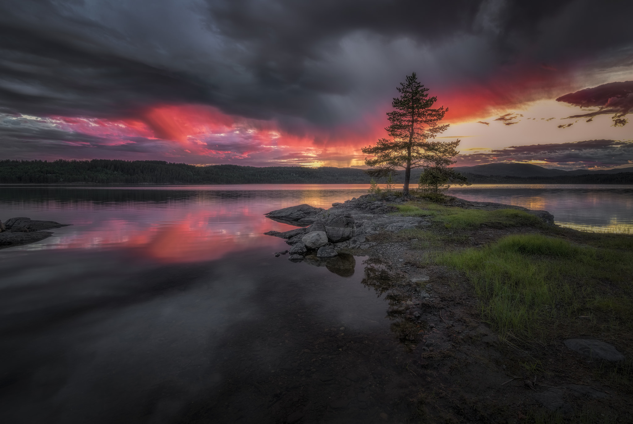 Téléchargez gratuitement l'image Coucher De Soleil, Lac, Arbre, Nuage, Terre/nature, Réflection sur le bureau de votre PC