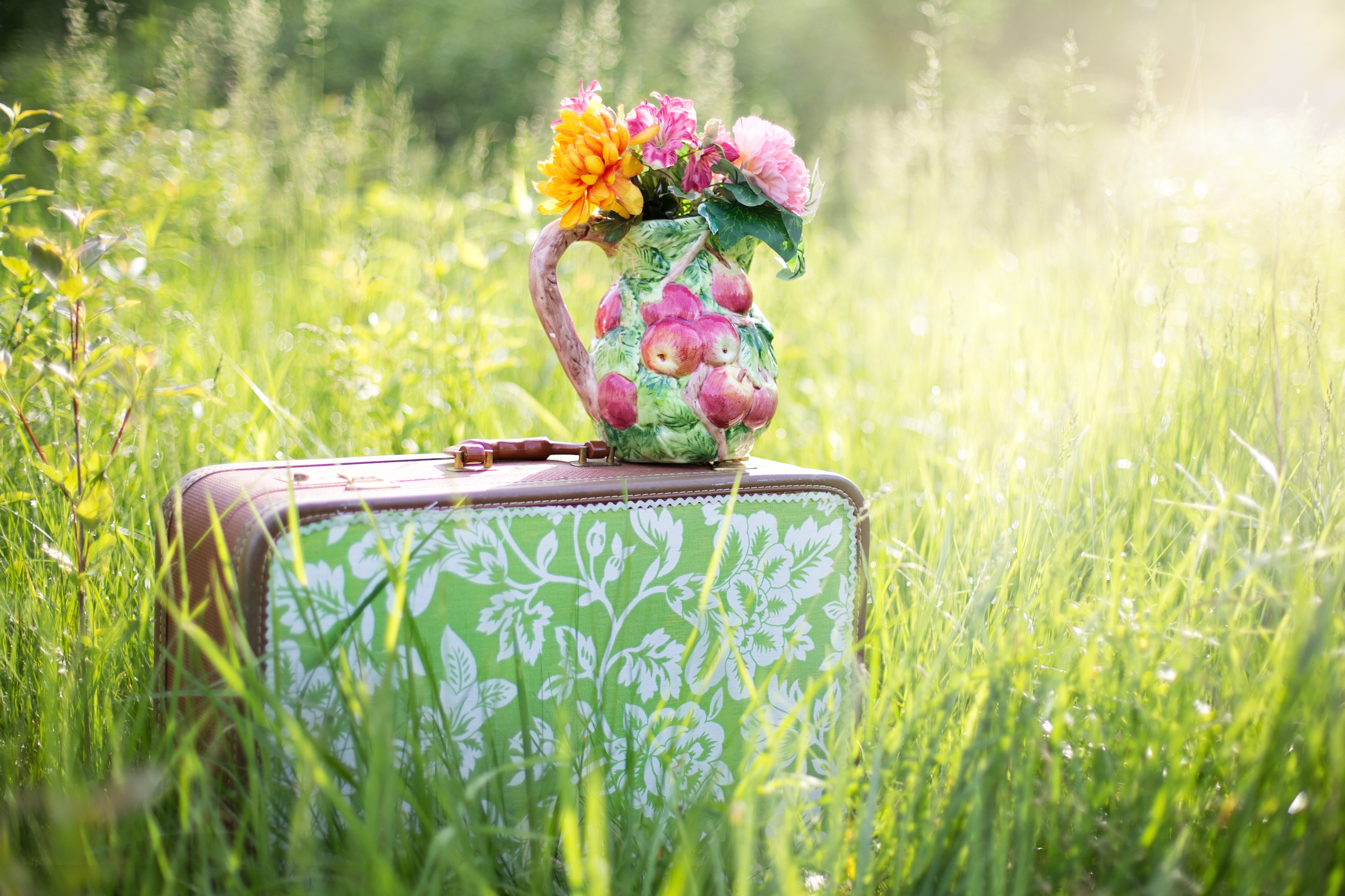 Download mobile wallpaper Suitcase, Grass, Flowers, Vase for free.