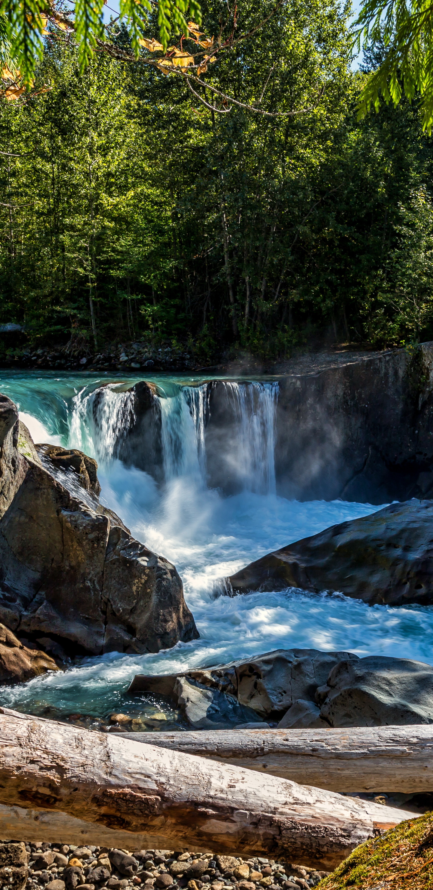 Download mobile wallpaper Waterfalls, Waterfall, Tree, Earth, Log for free.