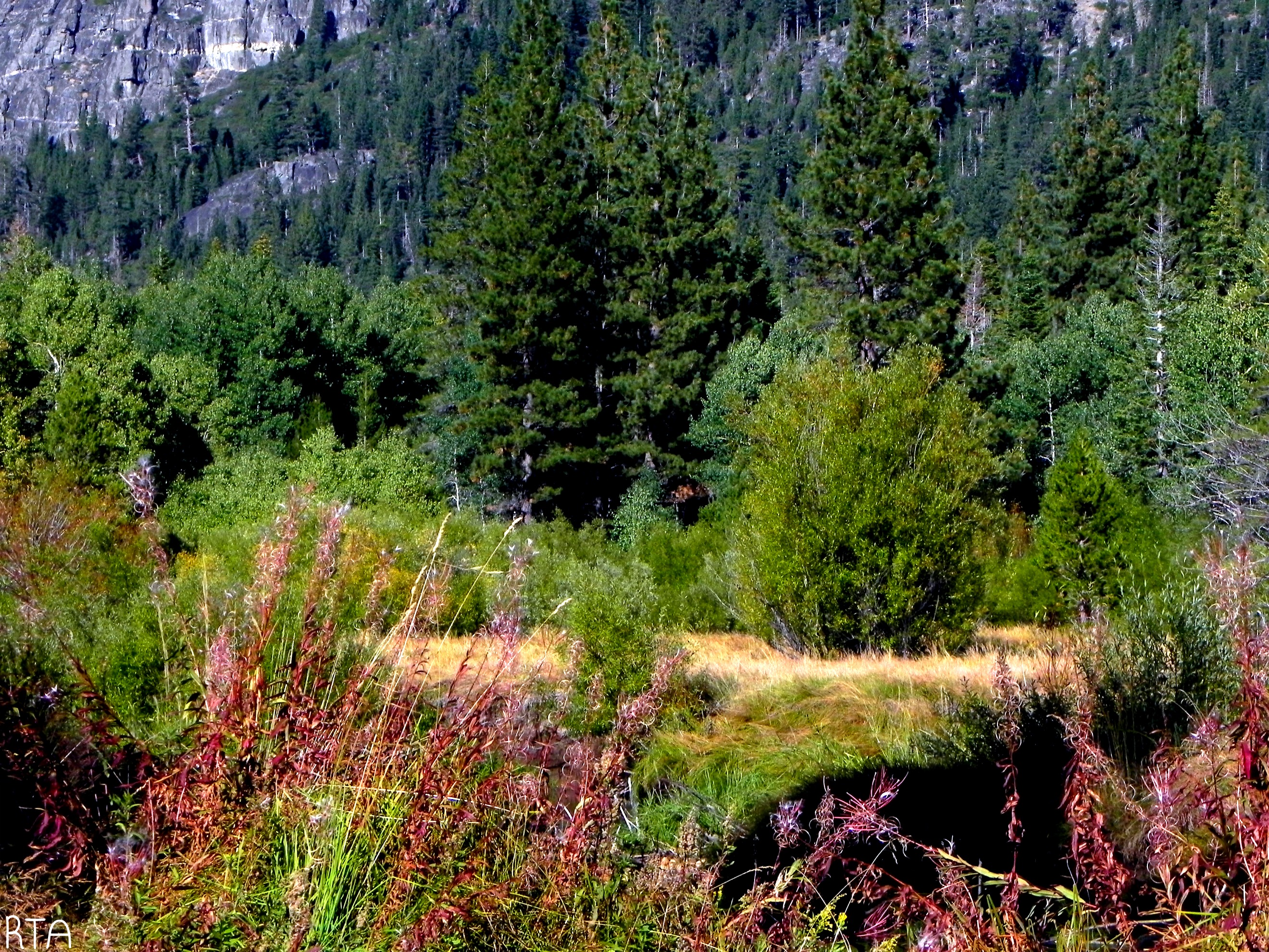 Baixar papel de parede para celular de Paisagem, Terra/natureza gratuito.