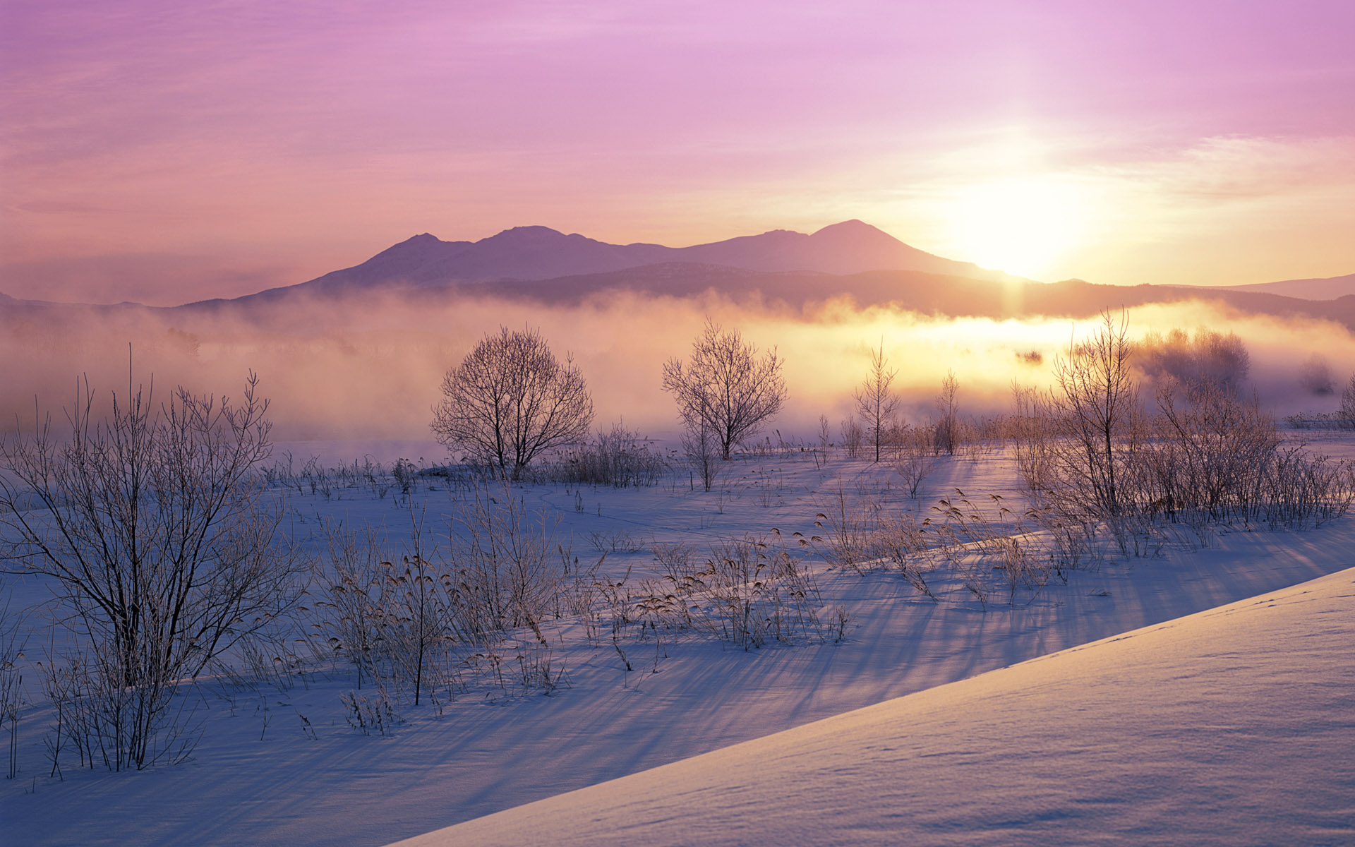 Laden Sie das Winter, Rosa, Schnee, Nebel, Sonnenaufgang, Gebirge, Sonnenstrahl, Erde/natur-Bild kostenlos auf Ihren PC-Desktop herunter