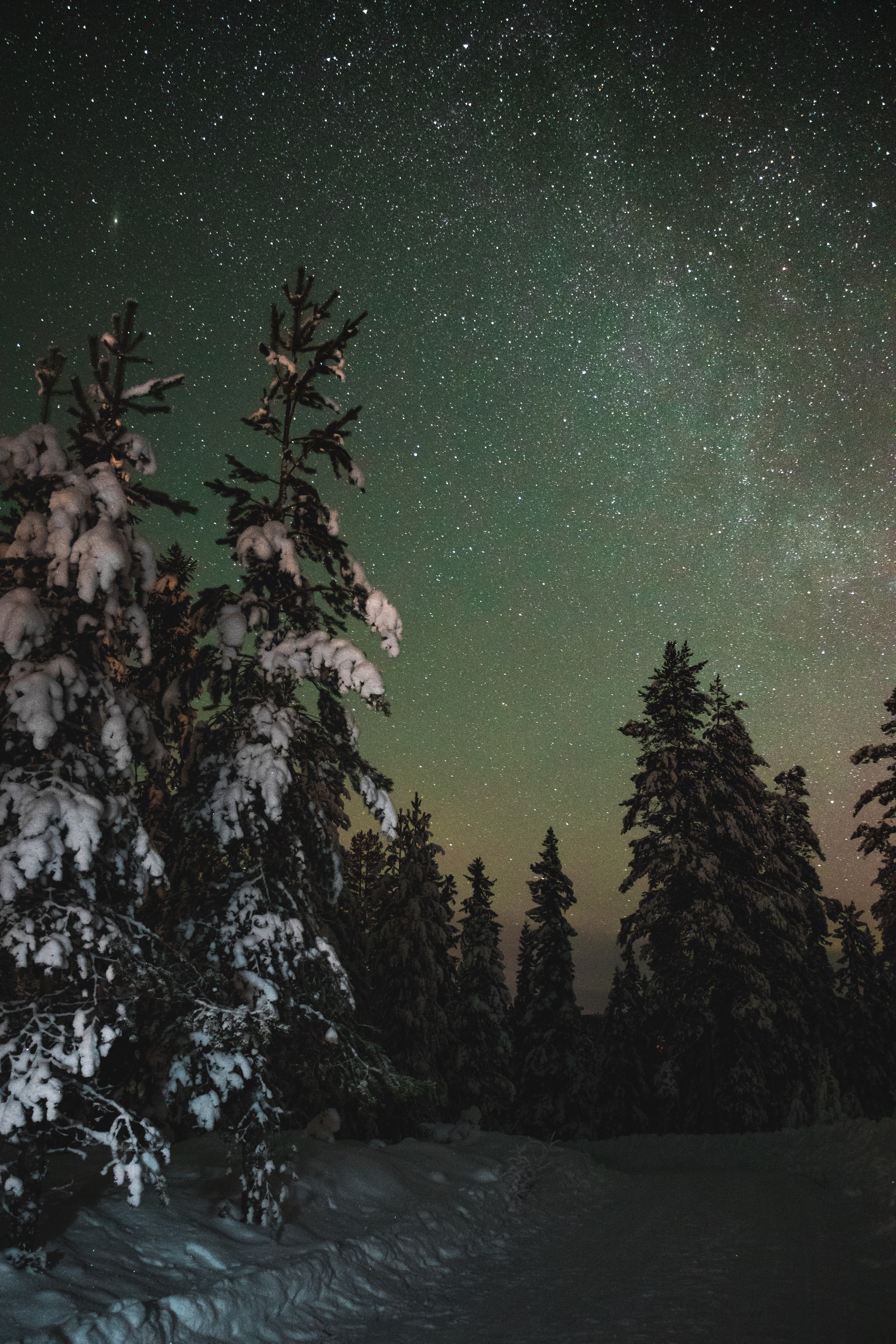 Descarga gratis la imagen Invierno, Naturaleza, Noche, Nieve, Árboles, Estrellas, Cielo Estrellado en el escritorio de tu PC