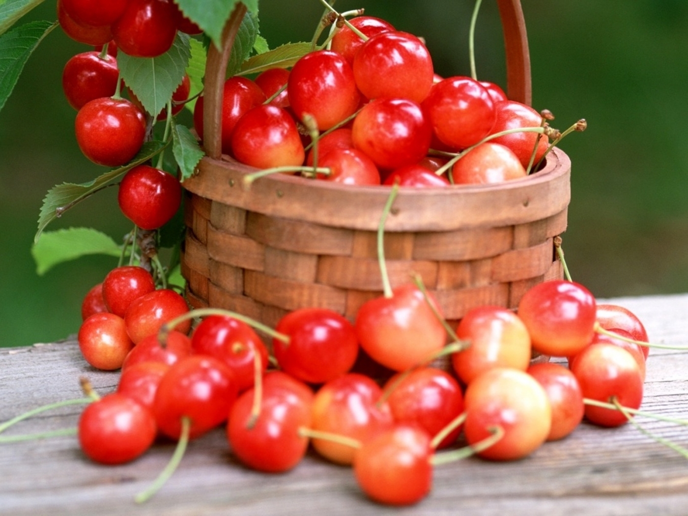 Free download wallpaper Sweet Cherry, Food, Fruits on your PC desktop