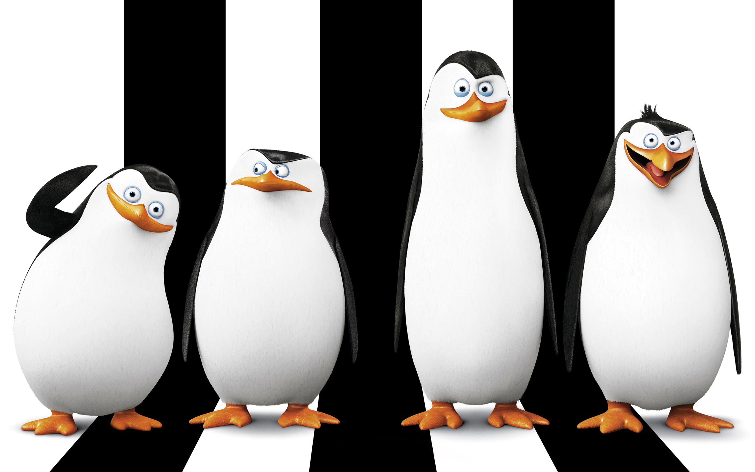 652121 Hintergrundbild herunterladen filme, die pinguine aus madagascar, madagaskar (film), pinguin - Bildschirmschoner und Bilder kostenlos
