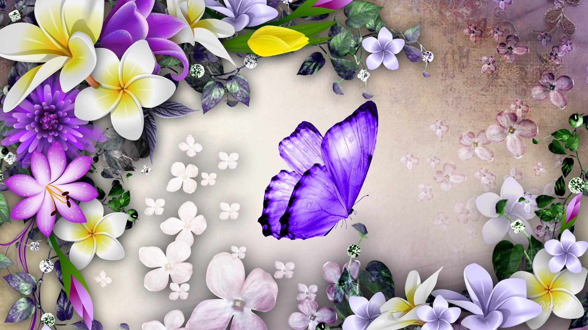 398044壁紙のダウンロード芸術的, 花, 蝶, プルメリア, 紫の, 白, フラワーズ-スクリーンセーバーと写真を無料で