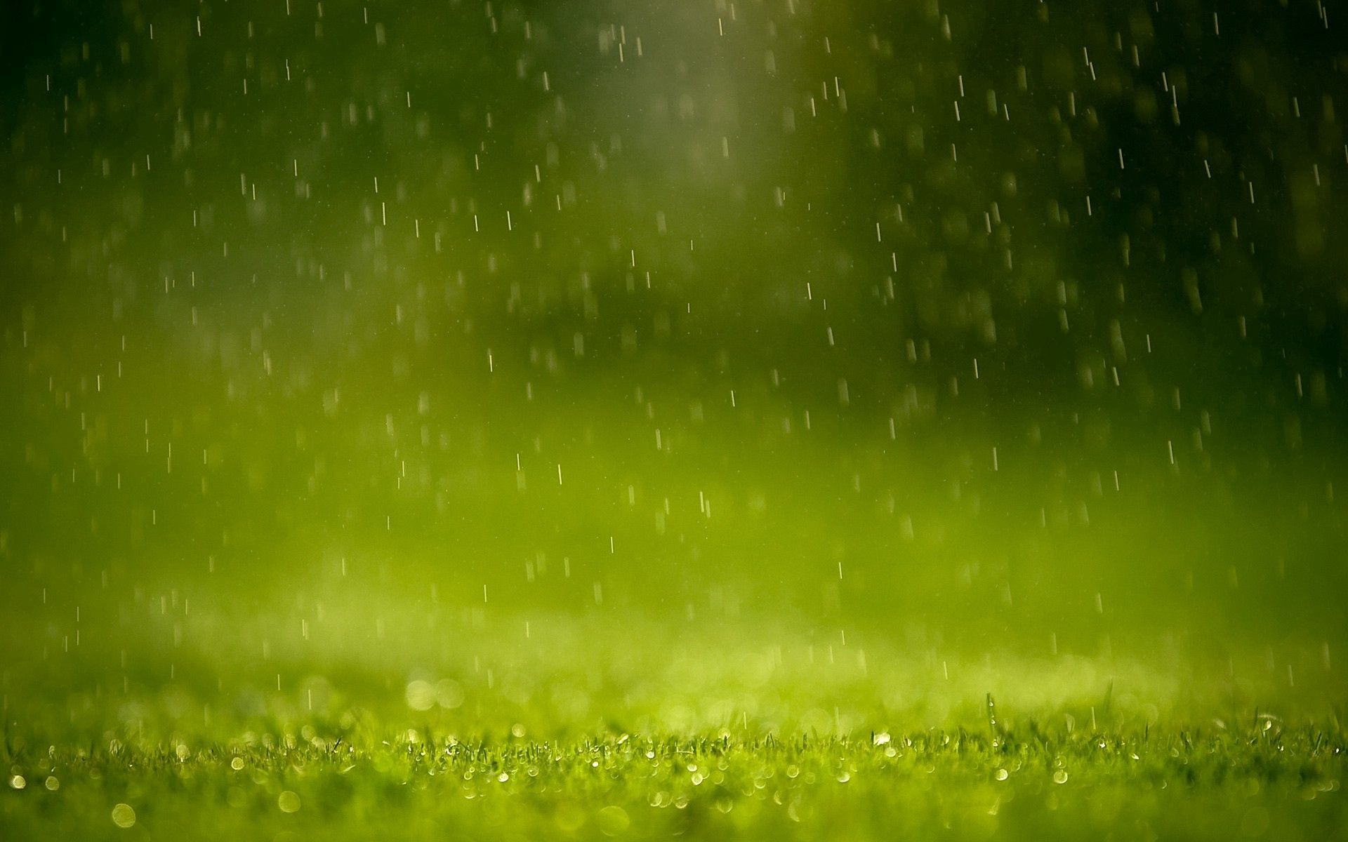 Download mobile wallpaper Nature, Grass, Macro, Drops, Rain for free.