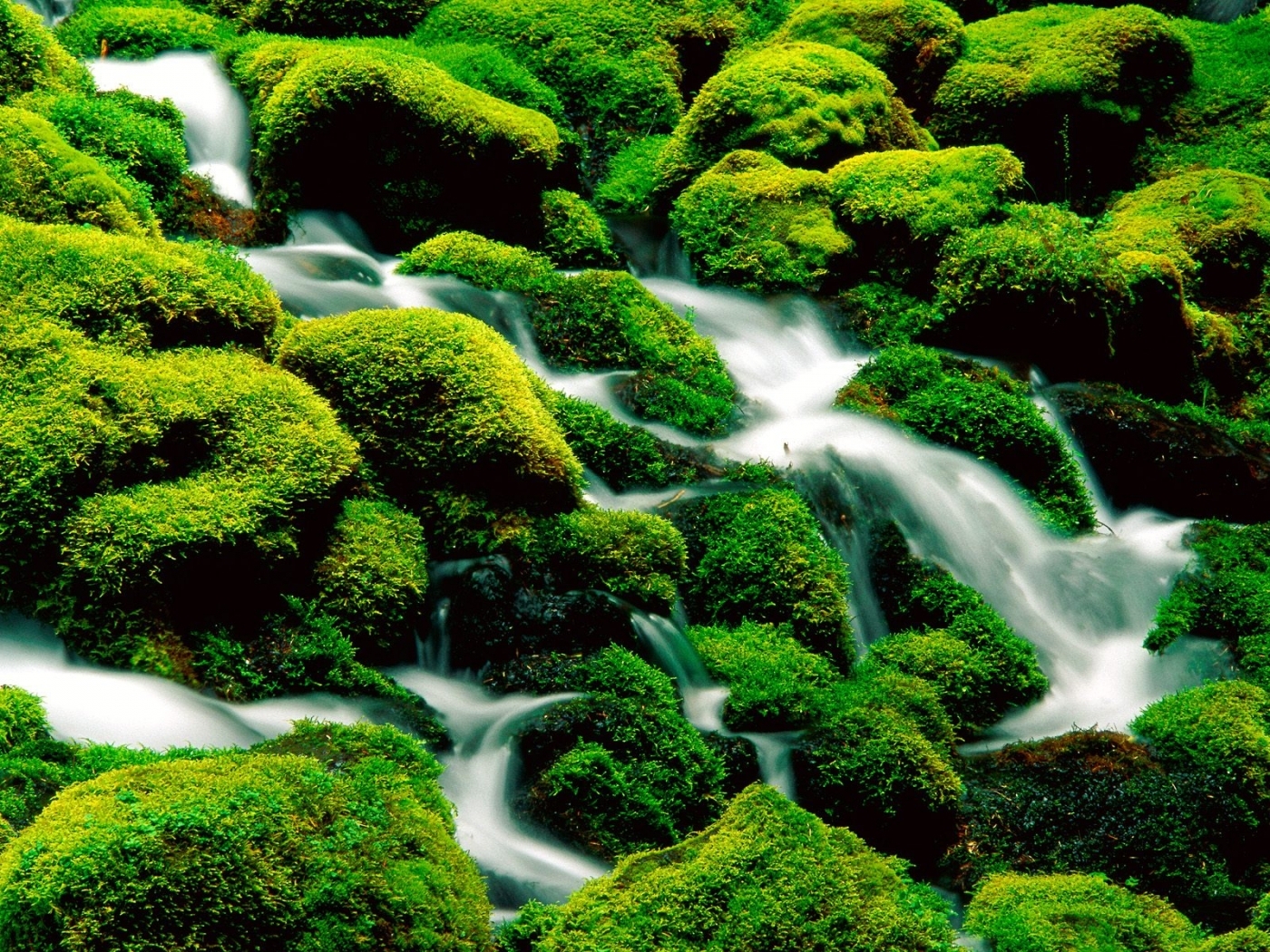 Free download wallpaper Landscape, Rivers, Grass, Stones on your PC desktop