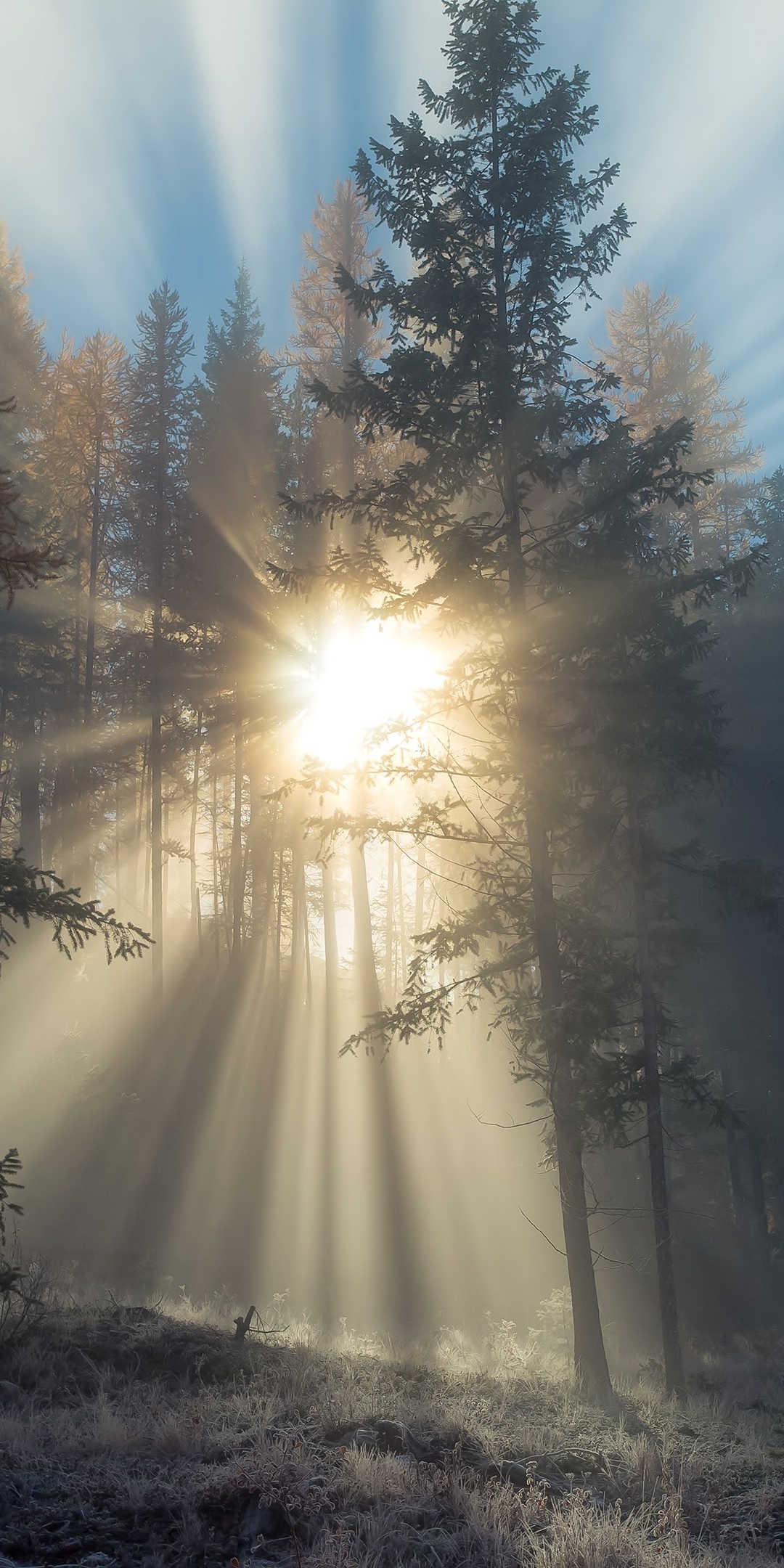 Descarga gratuita de fondo de pantalla para móvil de Rayo De Sol, Tierra/naturaleza.