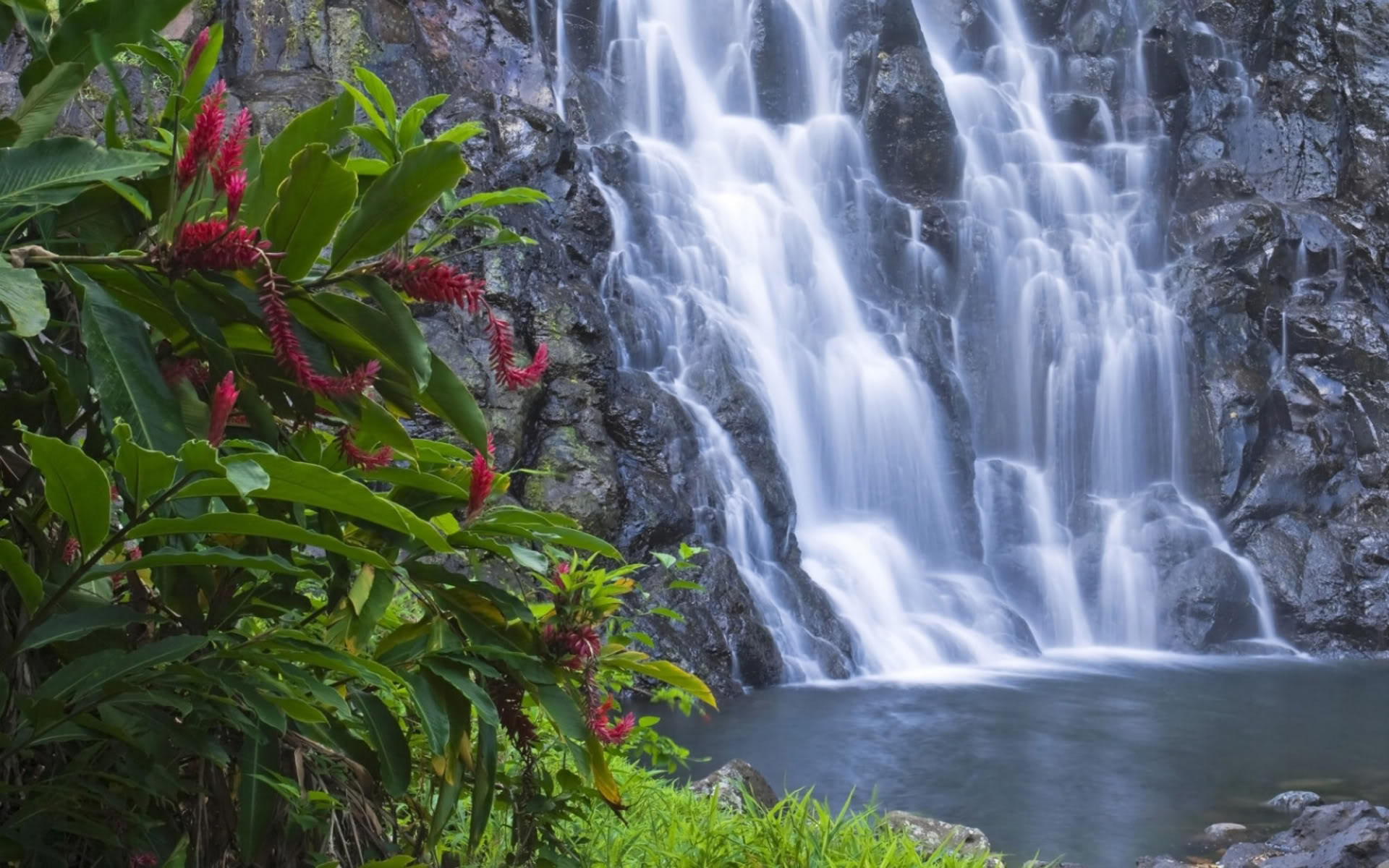 Free download wallpaper Waterfalls, Flower, Waterfall, Earth on your PC desktop