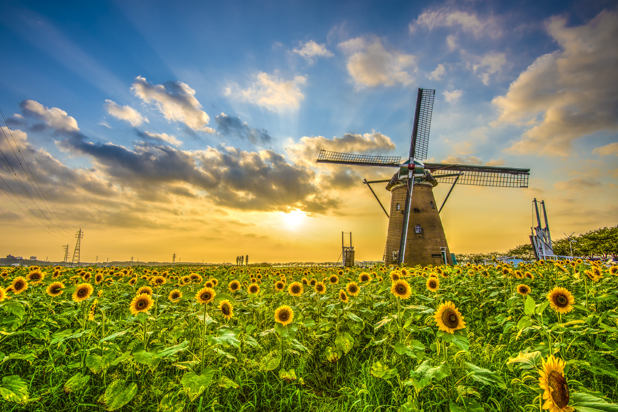 Laden Sie das Feld, Sonnenblume, Windmühle, Menschengemacht-Bild kostenlos auf Ihren PC-Desktop herunter