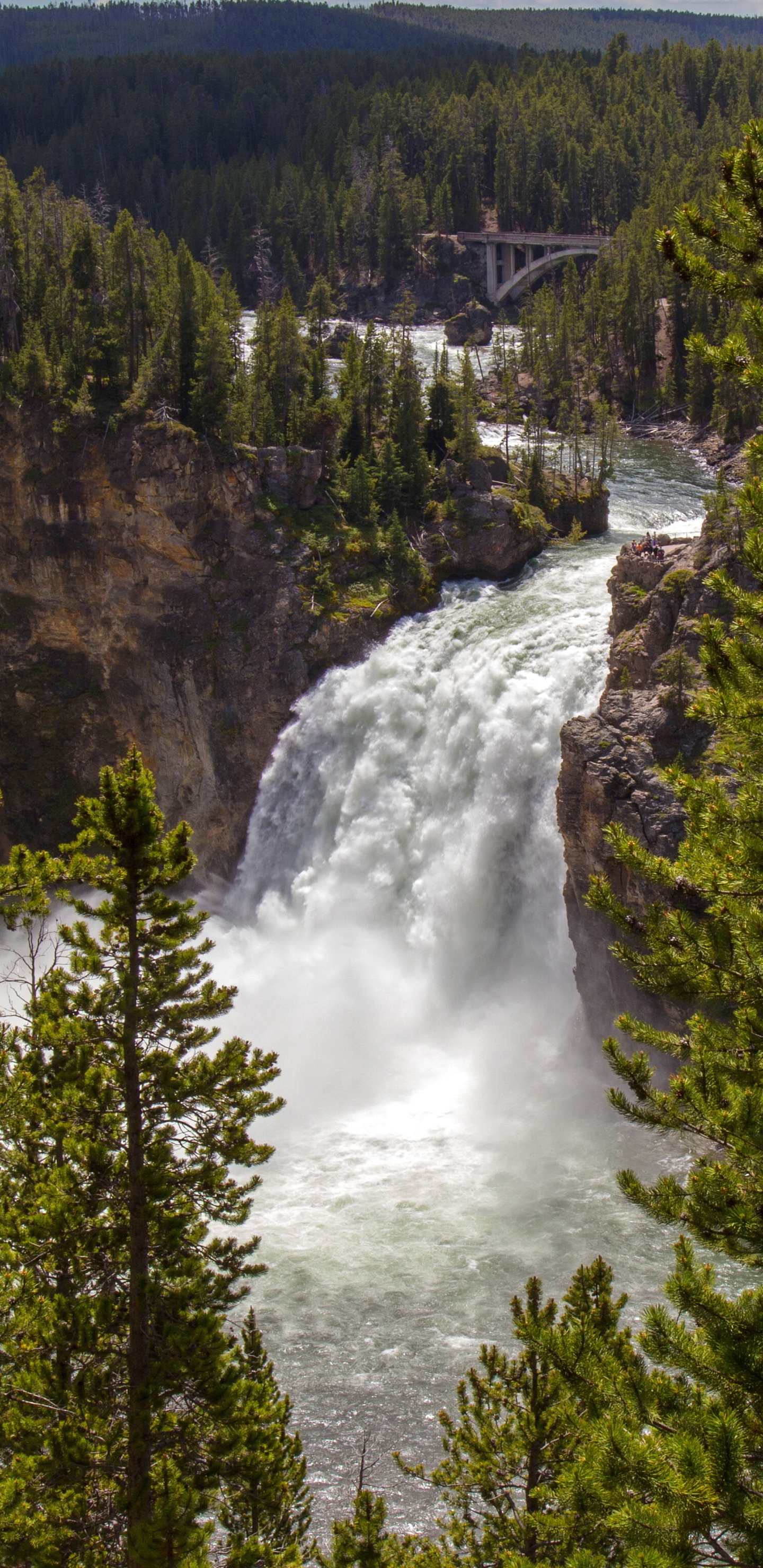 Laden Sie das Wasserfälle, Wasserfall, Wald, Erde/natur-Bild kostenlos auf Ihren PC-Desktop herunter