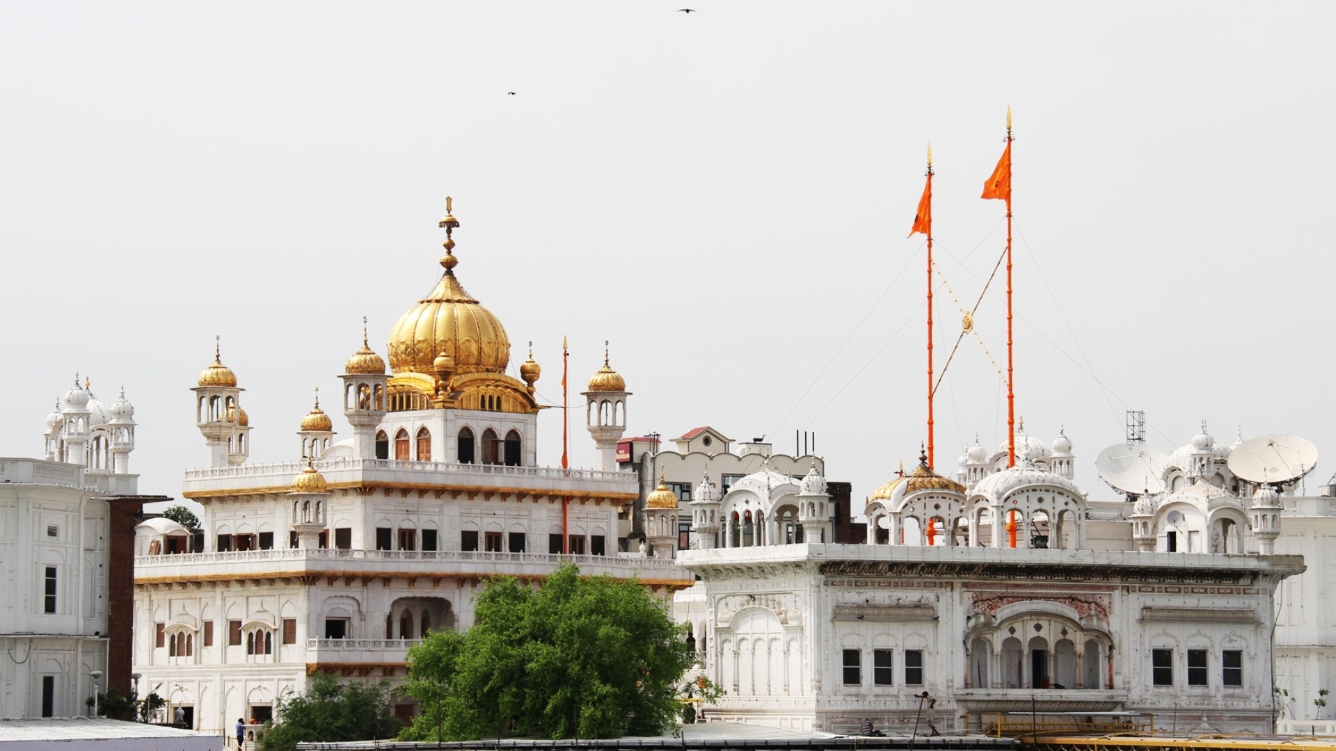 amritsar, golden temple, religious, harmandir sahib, india, temples