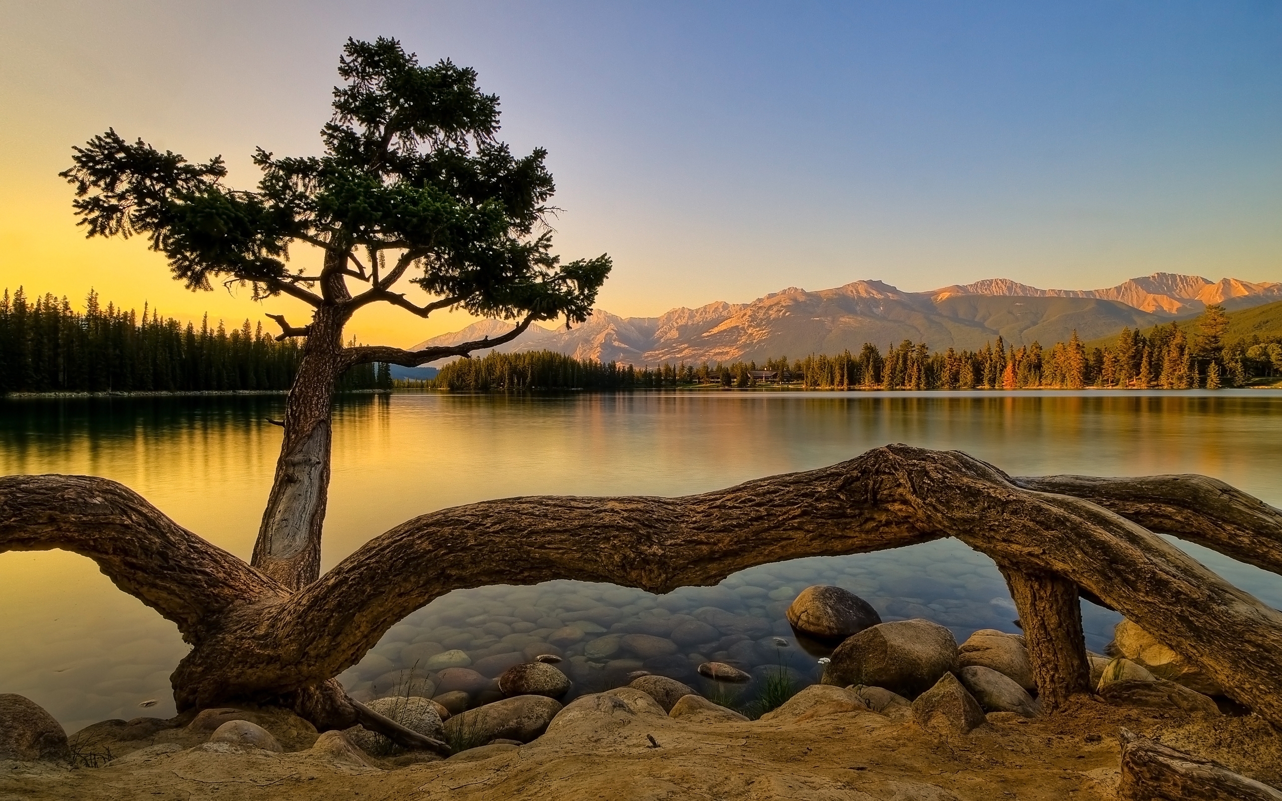 lakes, landscape, water, trees