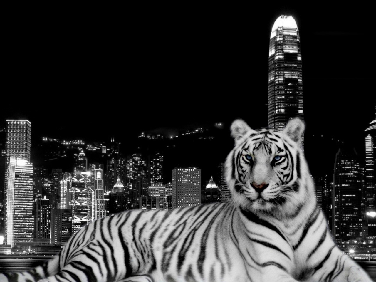 Скачать картинку Животные, Пейзаж, Тигры в телефон бесплатно.