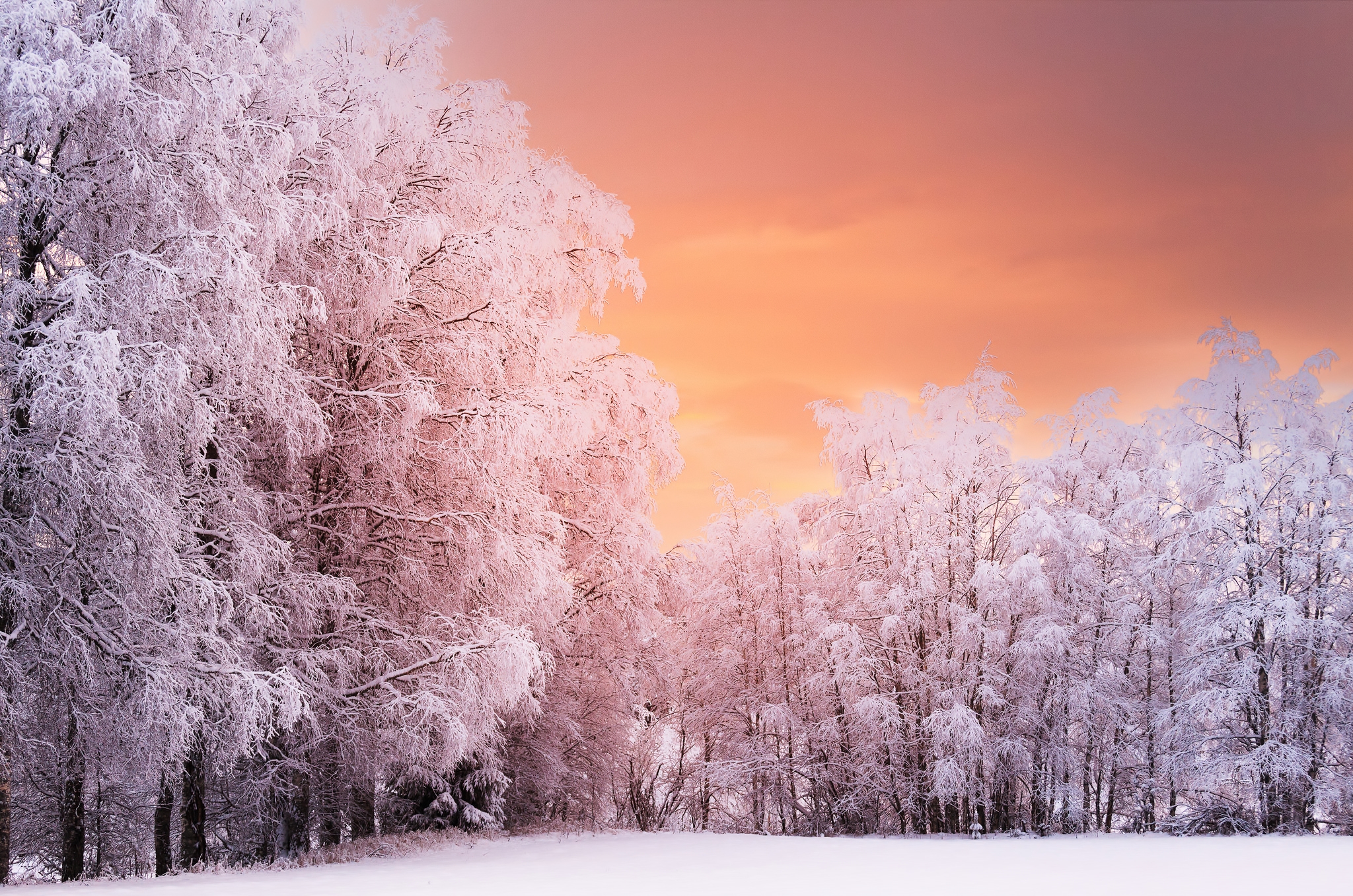 Téléchargez gratuitement l'image Hiver, Terre/nature sur le bureau de votre PC