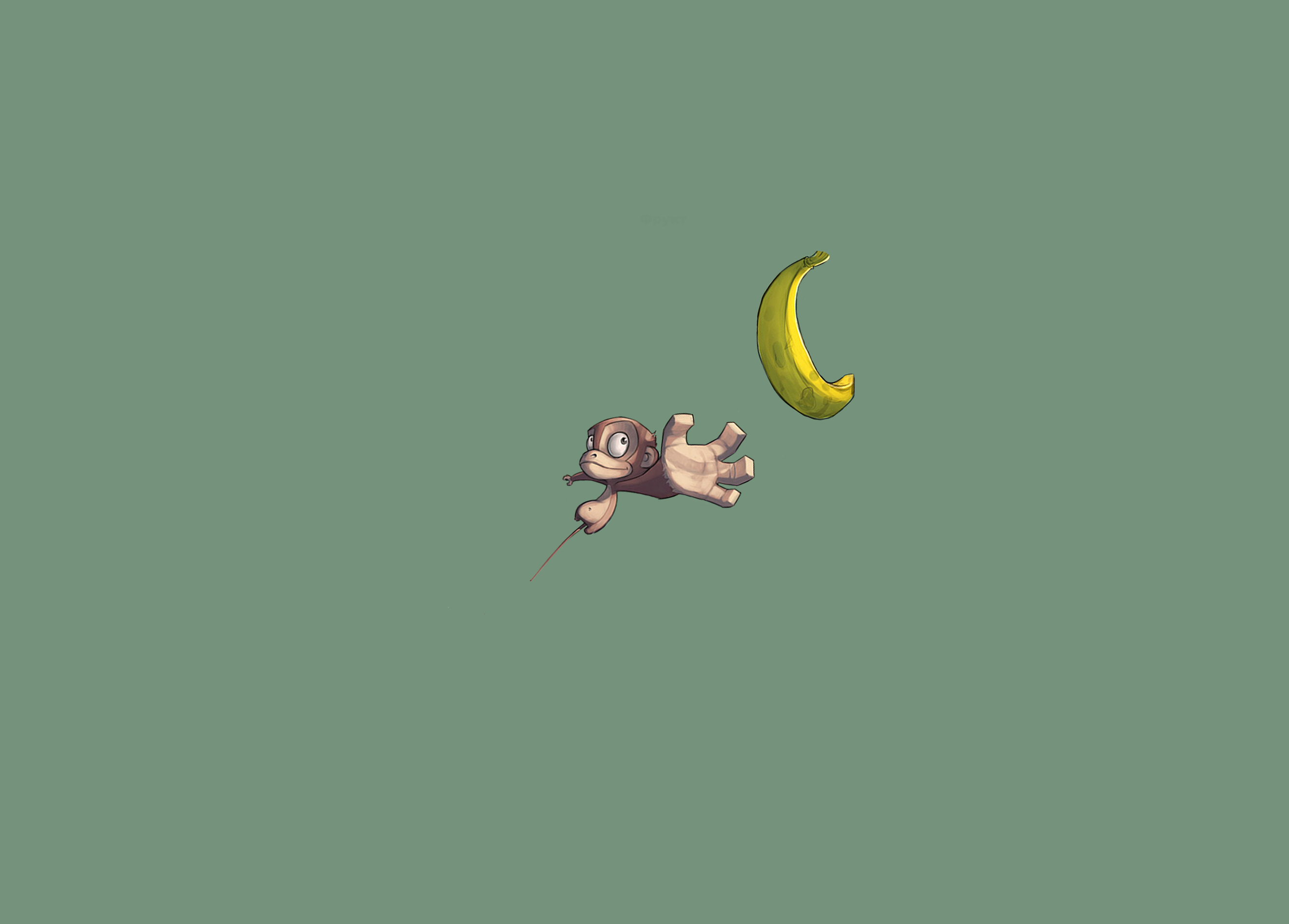 Free download wallpaper Monkey, Animal, Humor on your PC desktop