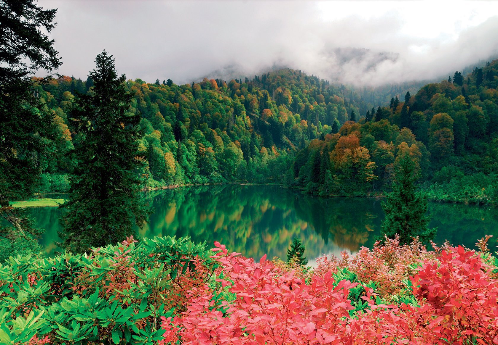 Скачать картинку Осень, Озера, Озеро, Лес, Дерево, Красочный, Земля/природа в телефон бесплатно.