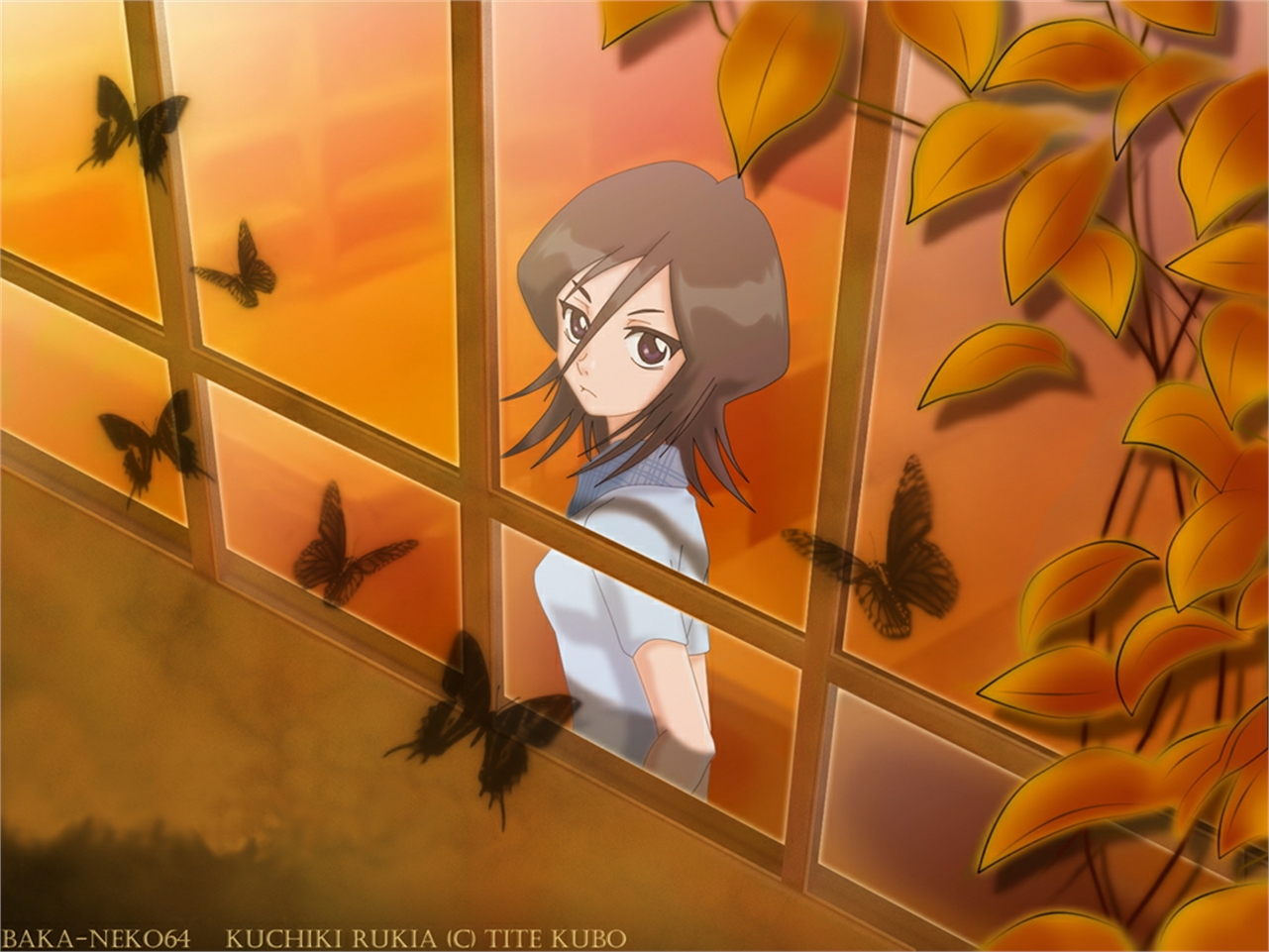 Baixe gratuitamente a imagem Anime, Alvejante, Rukia Kuchiki na área de trabalho do seu PC