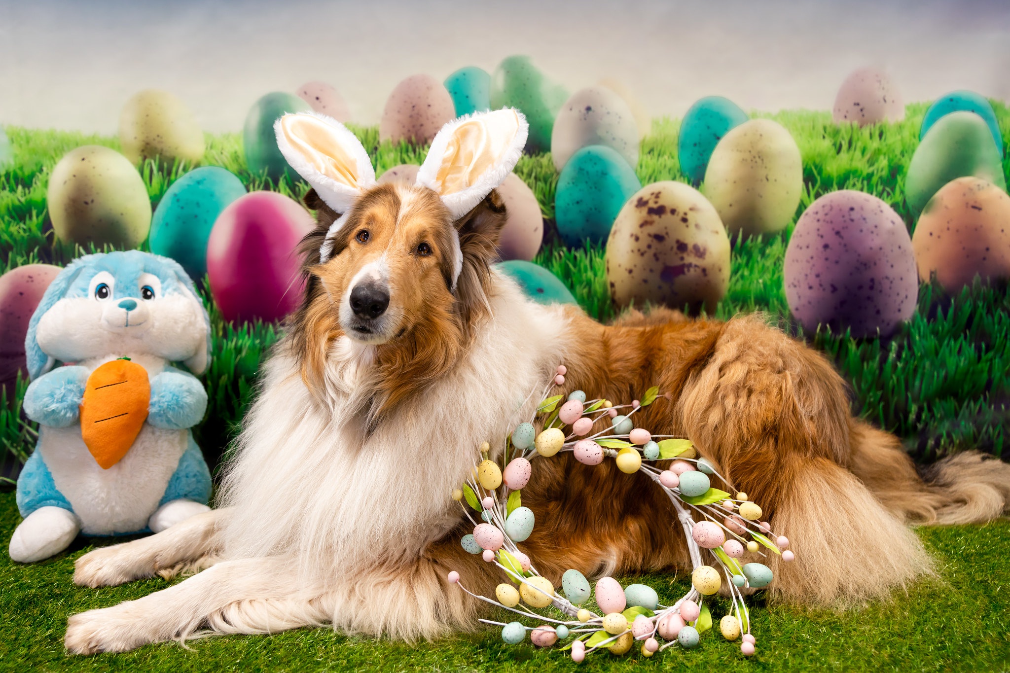 Download mobile wallpaper Dogs, Easter, Dog, Animal, Wreath, Shetland Sheepdog, Stuffed Animal for free.