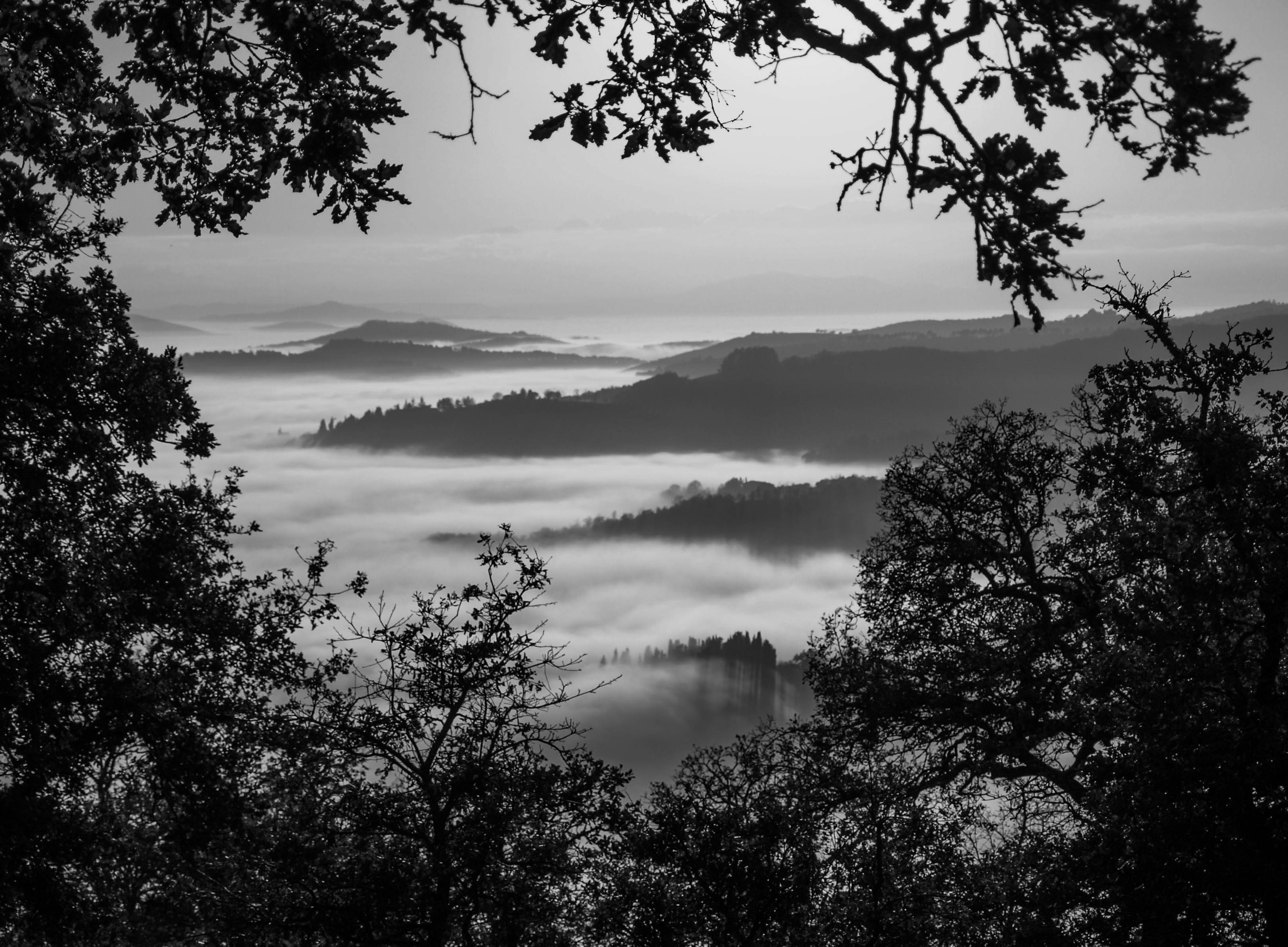 Download mobile wallpaper Fog, Chb, Nature, Mountains, Bw, Landscape for free.