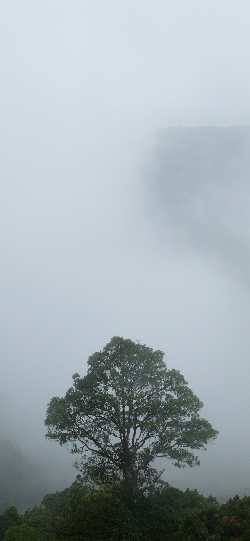Baixar papel de parede para celular de Nuvem, Costa Rica, Terra/natureza gratuito.