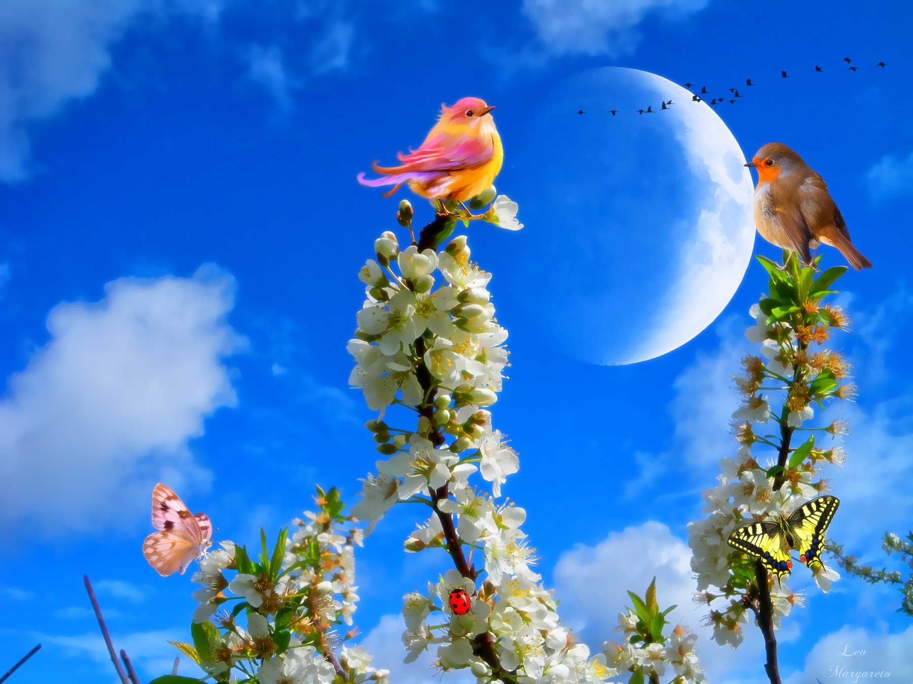 Скачати мобільні шпалери Квітка, Птах, Цвітіння, Метелик, Планета, Весна, Художній безкоштовно.