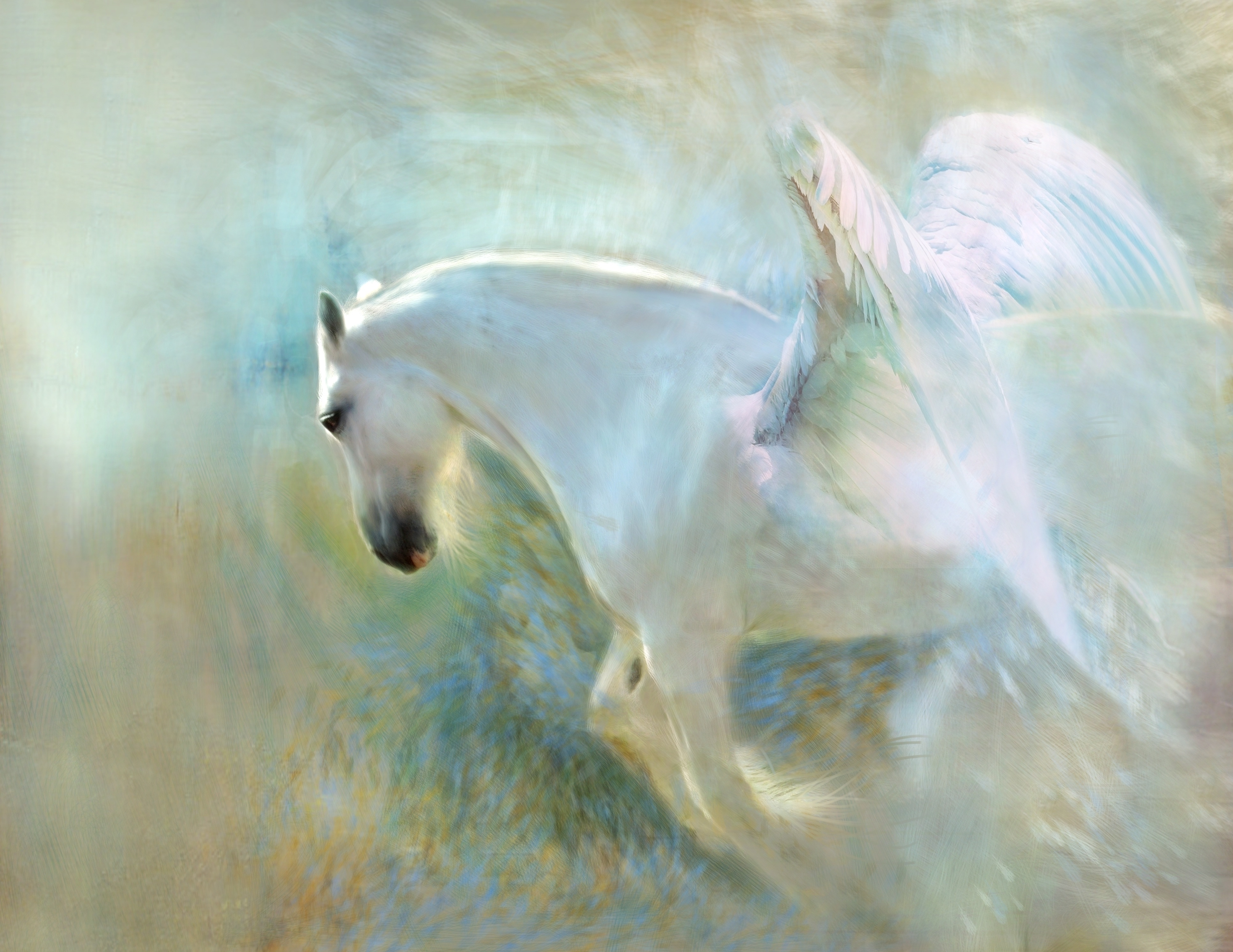 Download mobile wallpaper Fantasy, Wings, Horse, Pegasus, Fantasy Animals for free.
