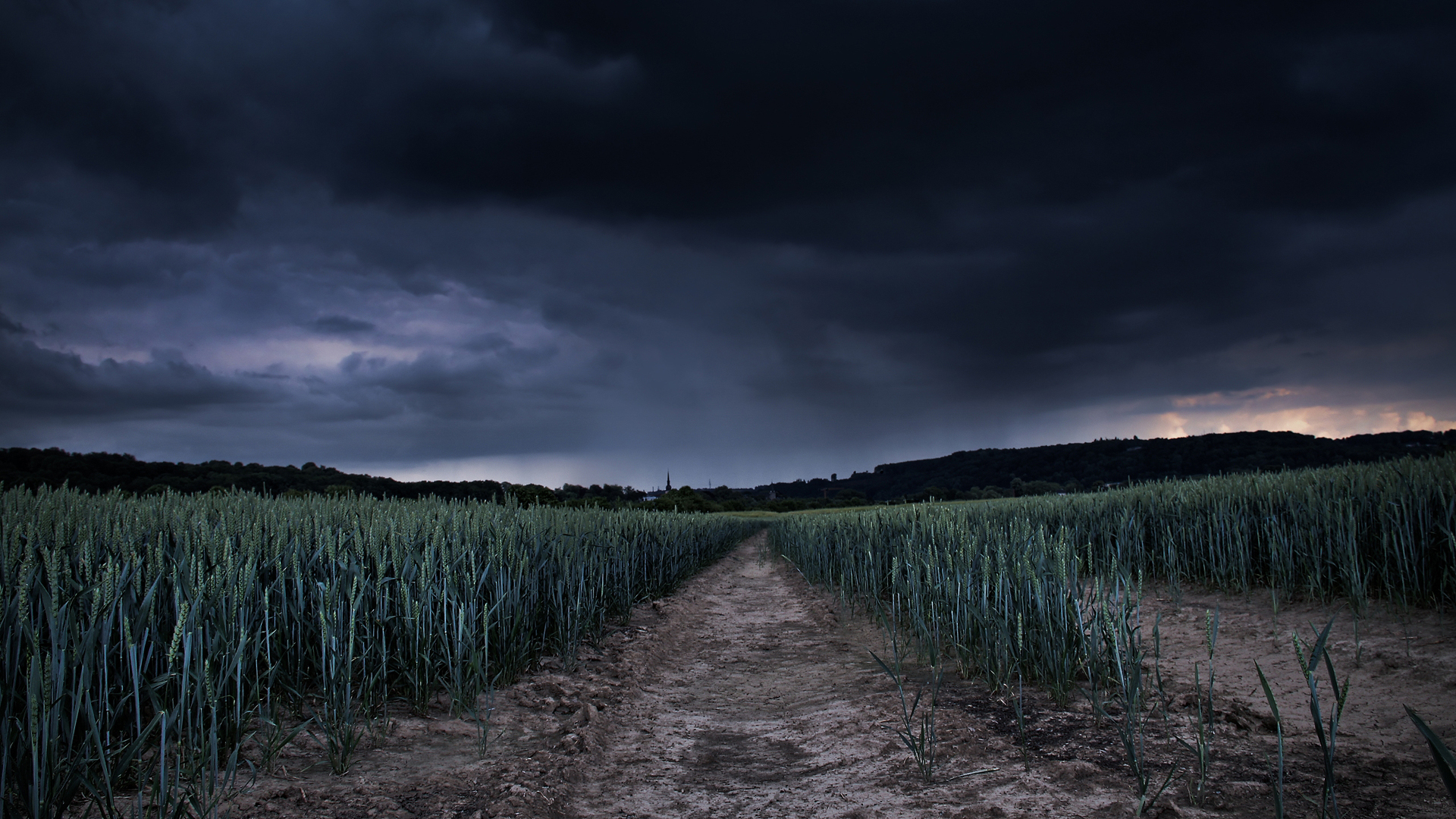 Descarga gratuita de fondo de pantalla para móvil de Campo, Tierra/naturaleza.