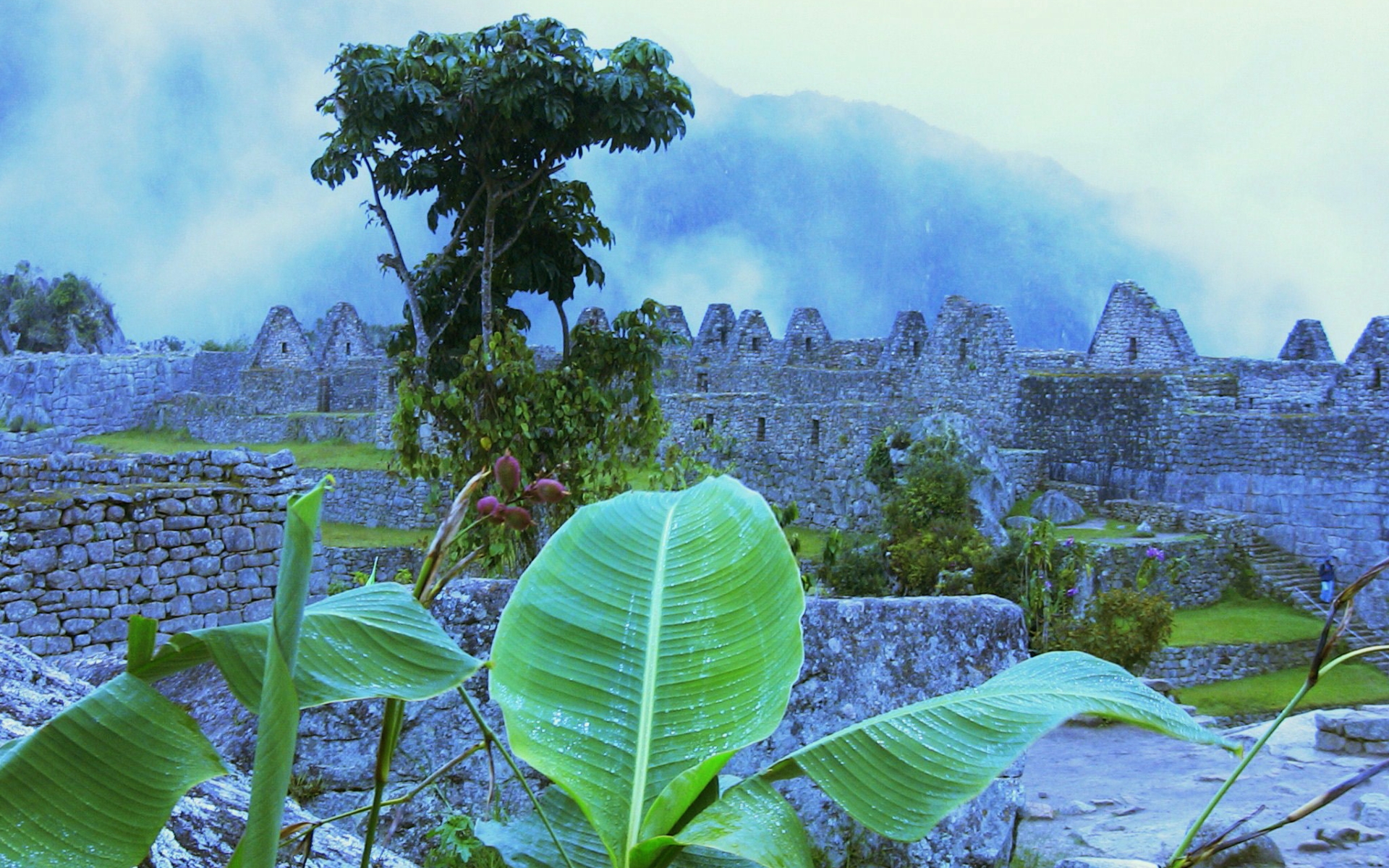 Baixar papel de parede para celular de Monumentos, Machu Picchu, Feito Pelo Homem gratuito.