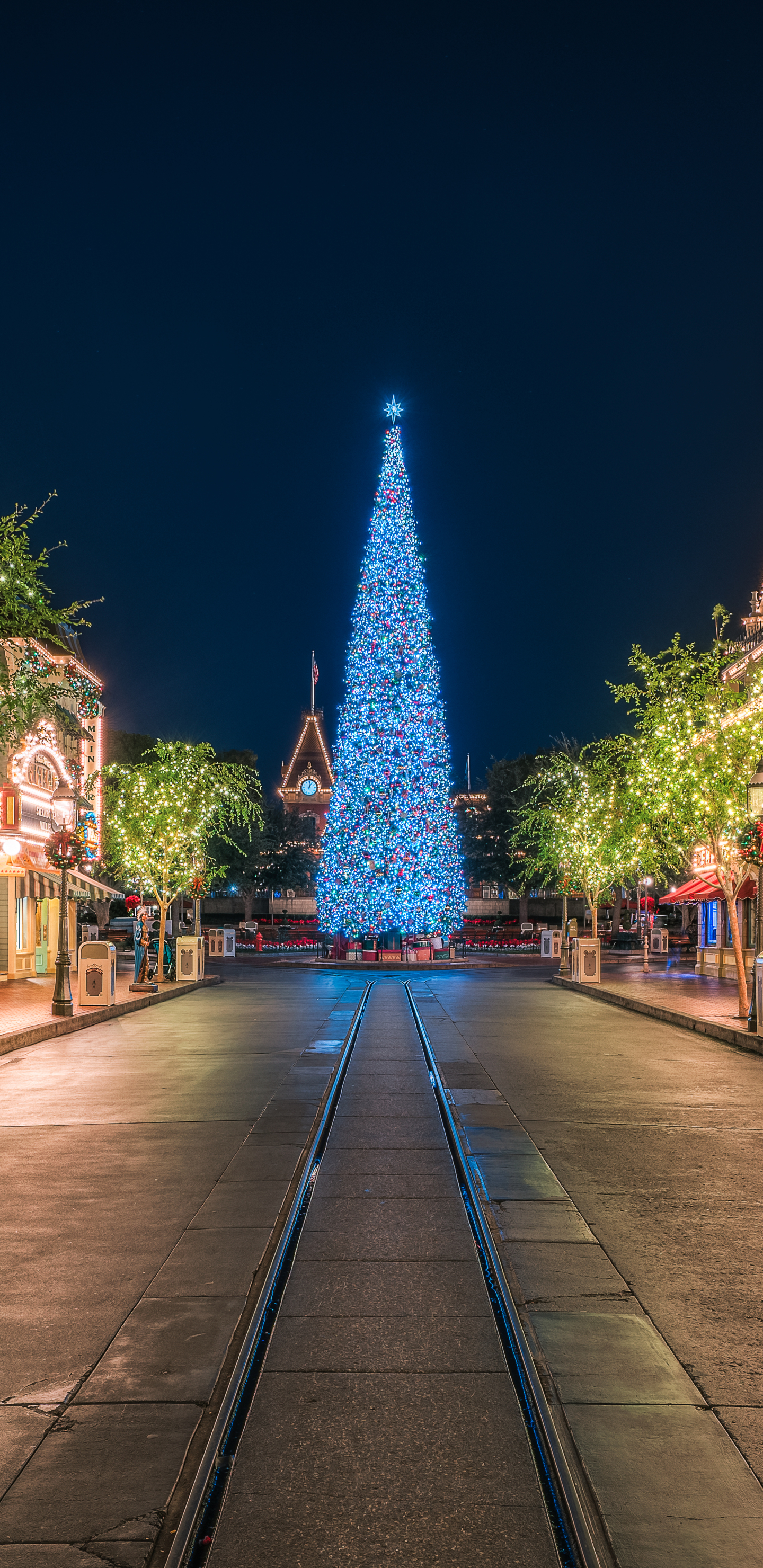 Laden Sie das Weihnachten, Disneyland, Licht, Quadrat, Weihnachtsbaum, Kalifornien, Menschengemacht, Disney-Bild kostenlos auf Ihren PC-Desktop herunter
