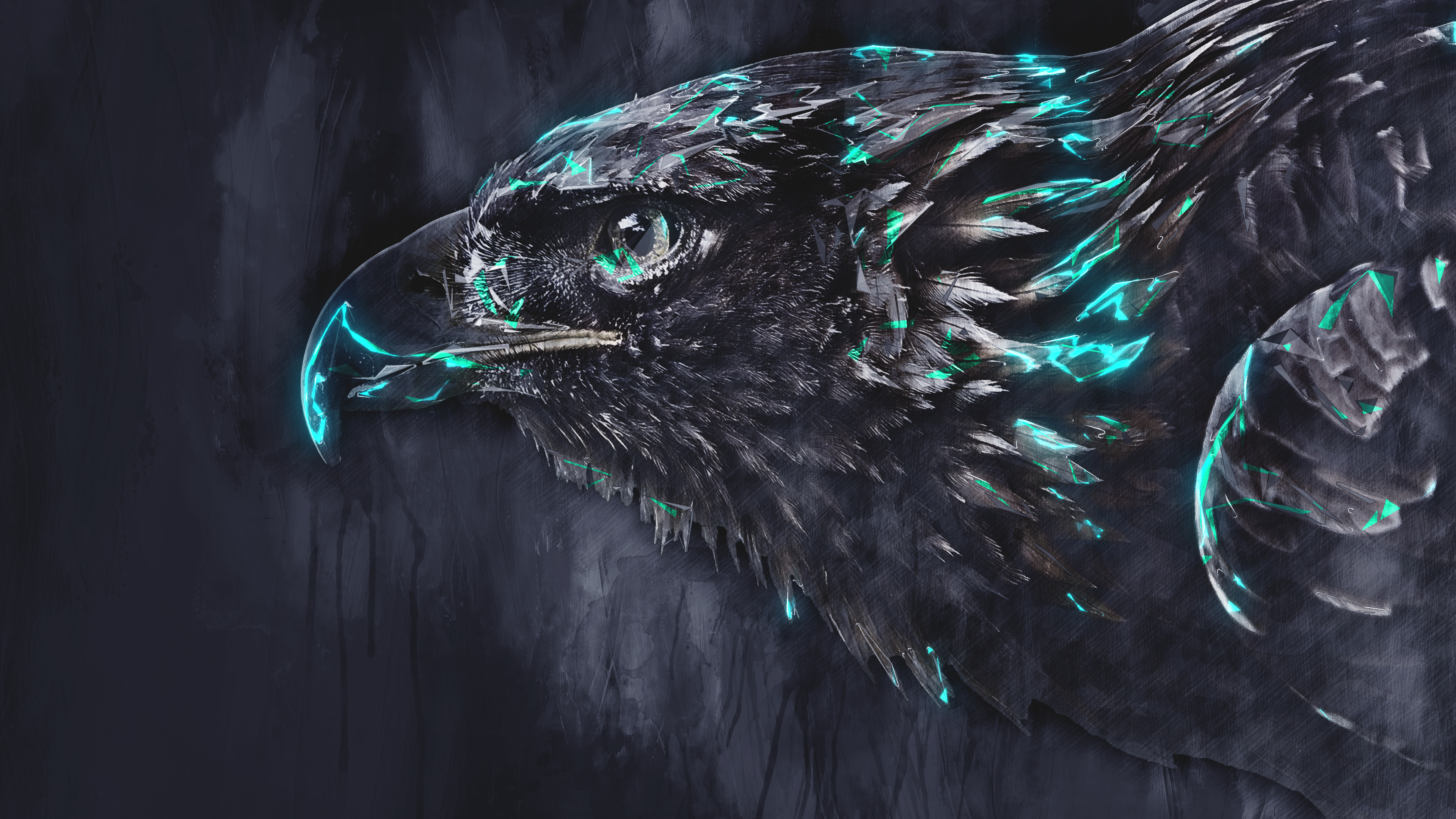 Free download wallpaper Birds, Bird, Animal, Eagle on your PC desktop