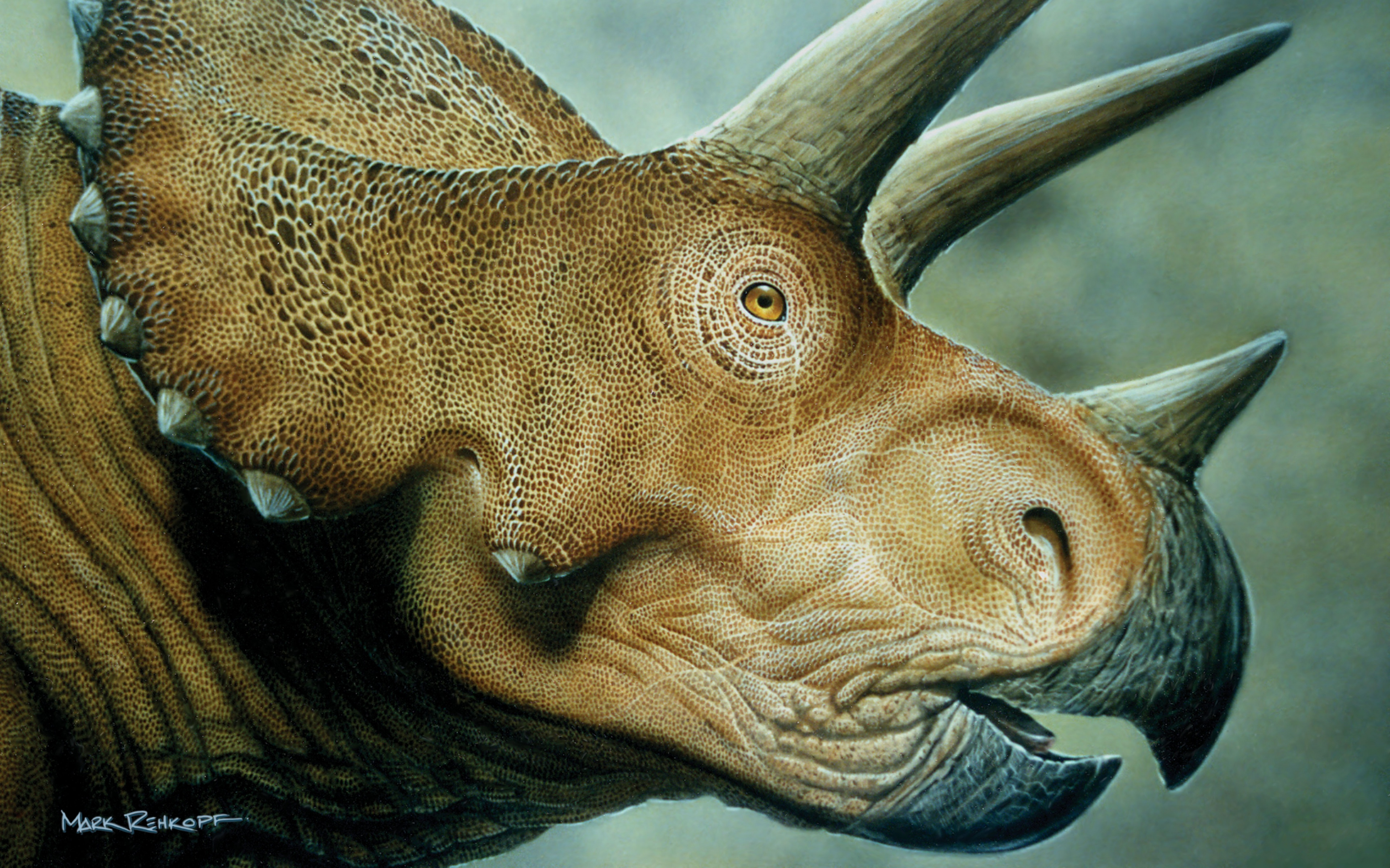Melhores papéis de parede de Triceratops para tela do telefone