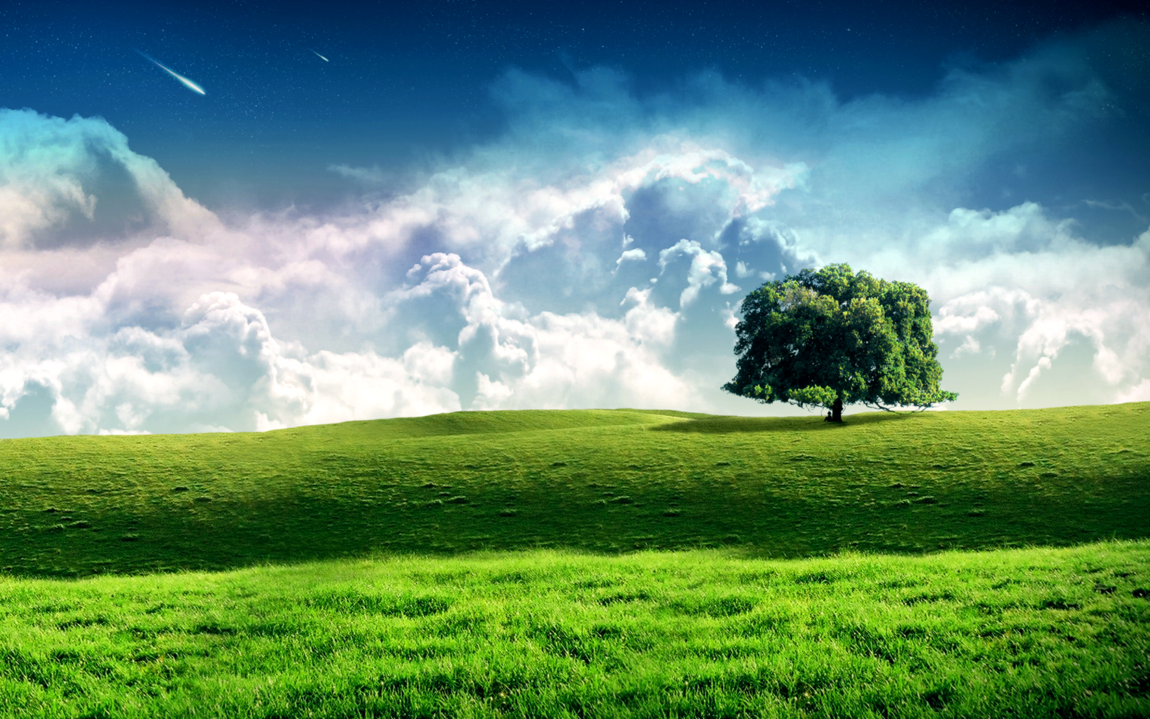 Free download wallpaper Tree, Earth on your PC desktop