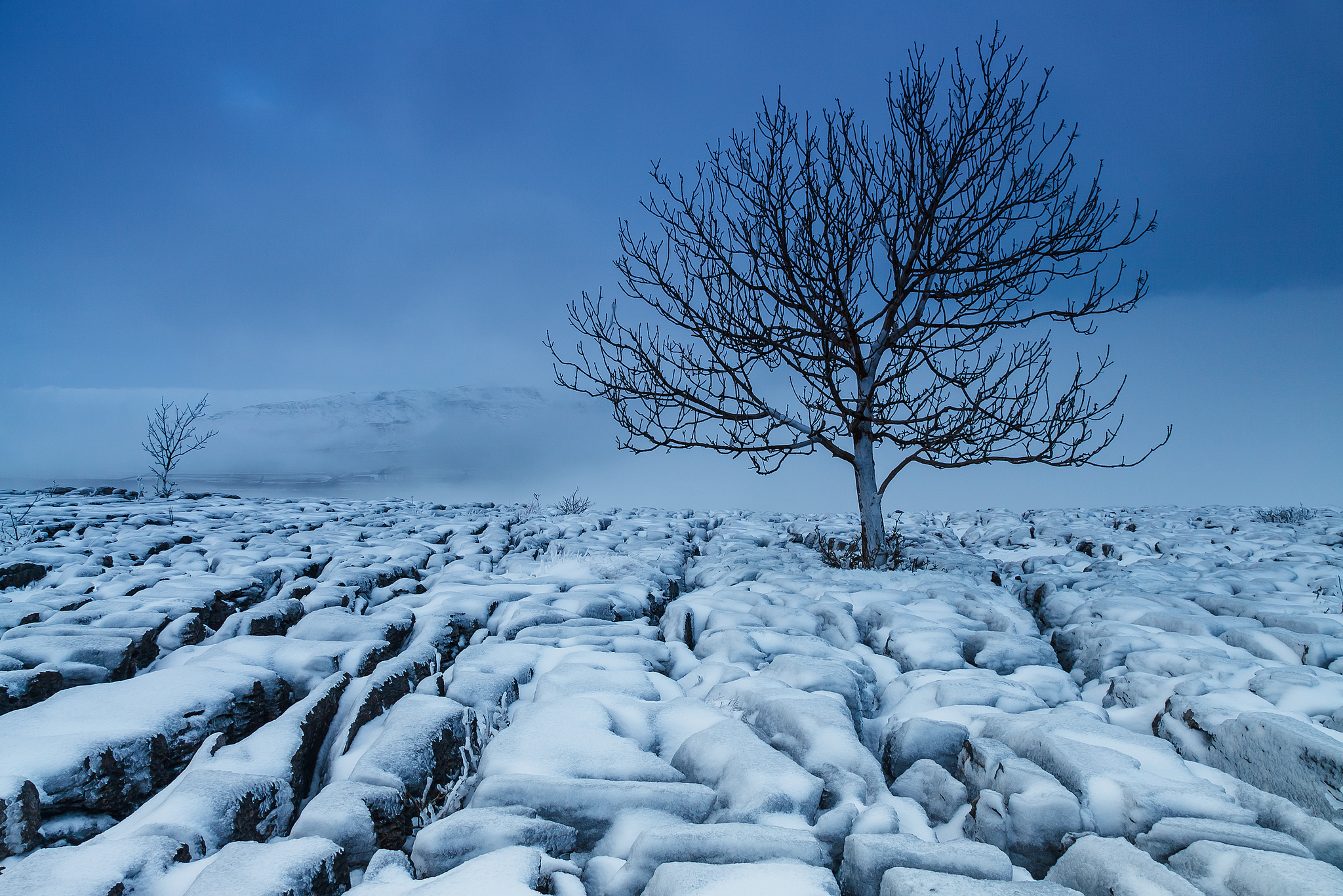 Téléchargez gratuitement l'image Hiver, Horizon, Arbre, La Nature, Terre/nature, Neiger, Arbre Solitaire sur le bureau de votre PC