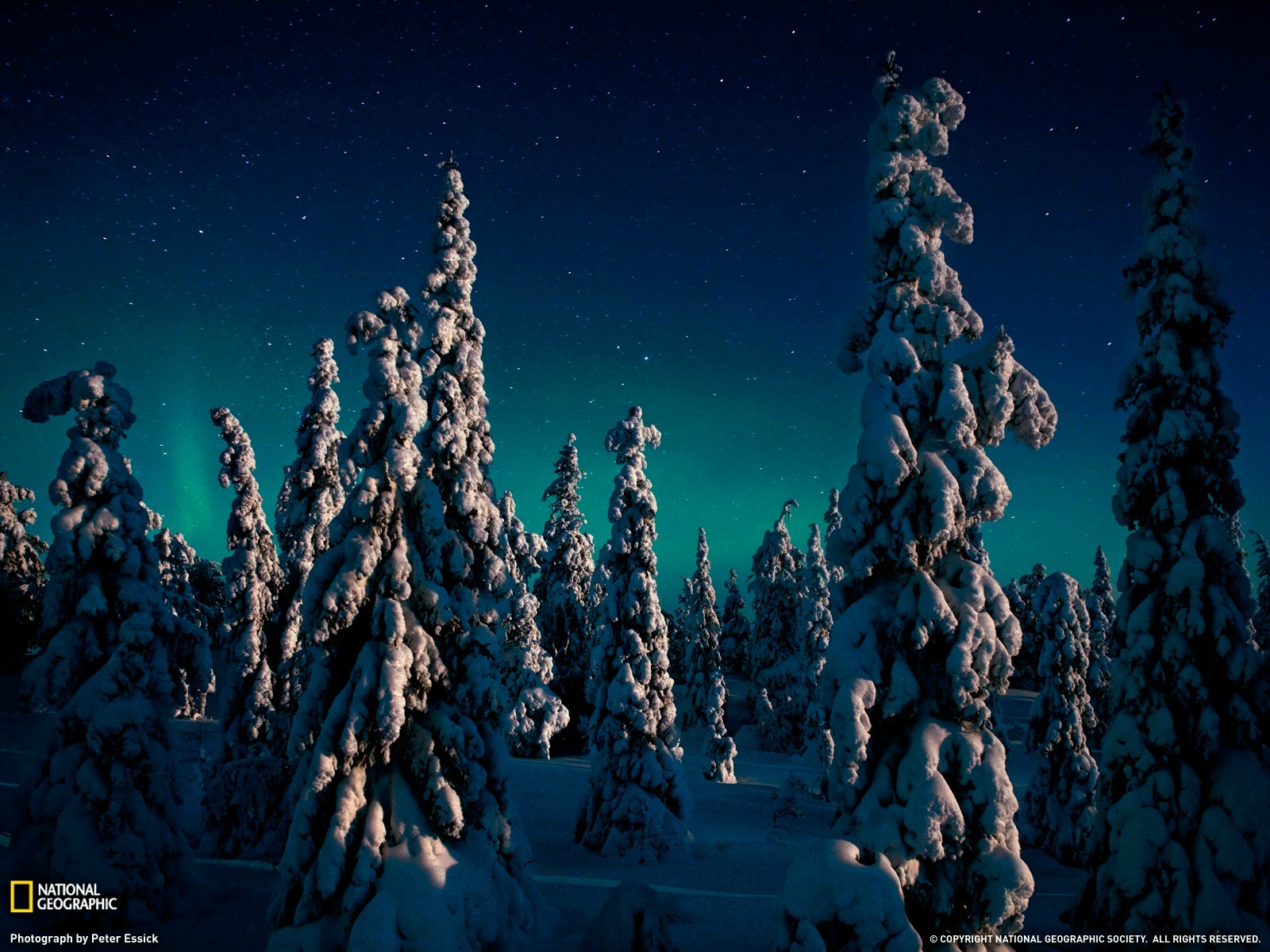 Download mobile wallpaper Winter, Twilight, Snow, Forest, Tree, Earth, Dusk for free.