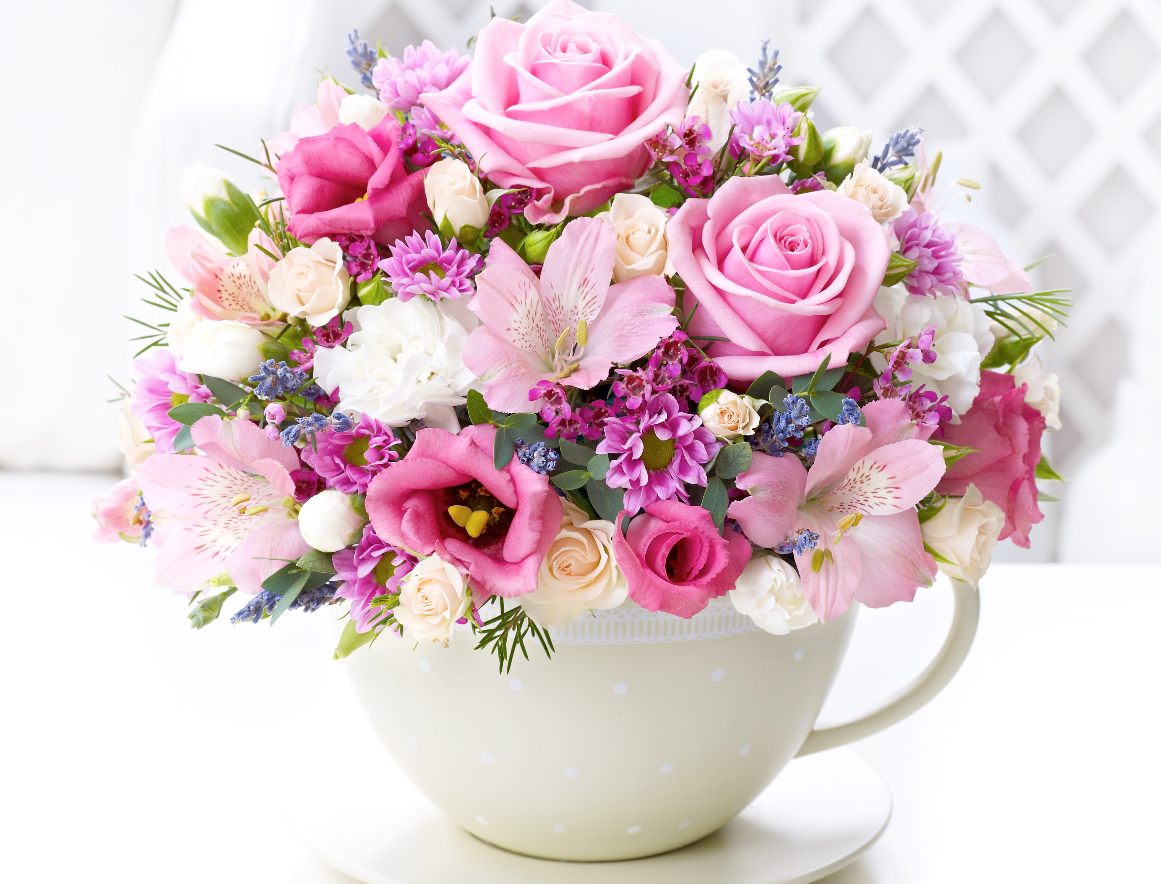 Laden Sie das Blume, Tasse, Weiße Blume, Menschengemacht, Pinke Blume-Bild kostenlos auf Ihren PC-Desktop herunter