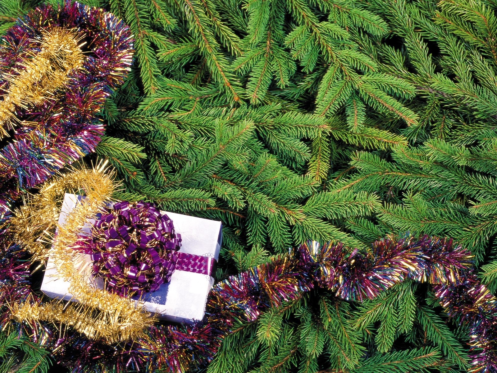 Download PC Wallpaper holidays, new year, fir trees, christmas xmas, green